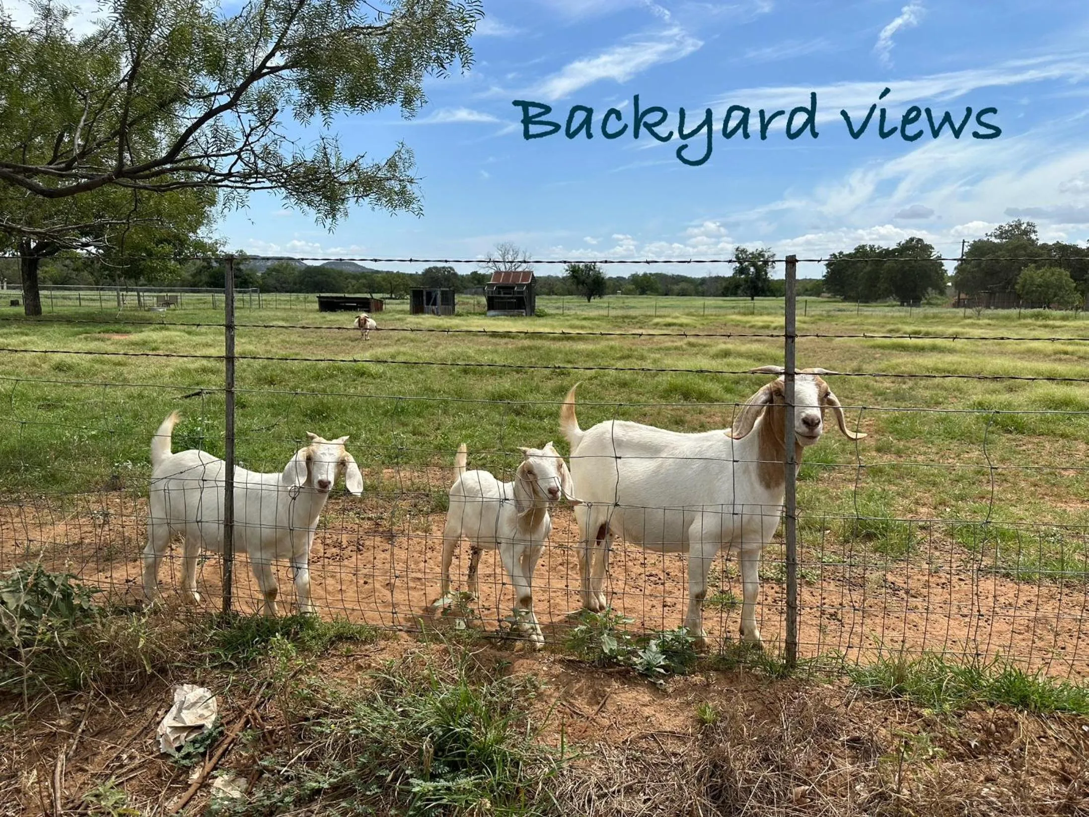 Hotel Kitsmiller on Main