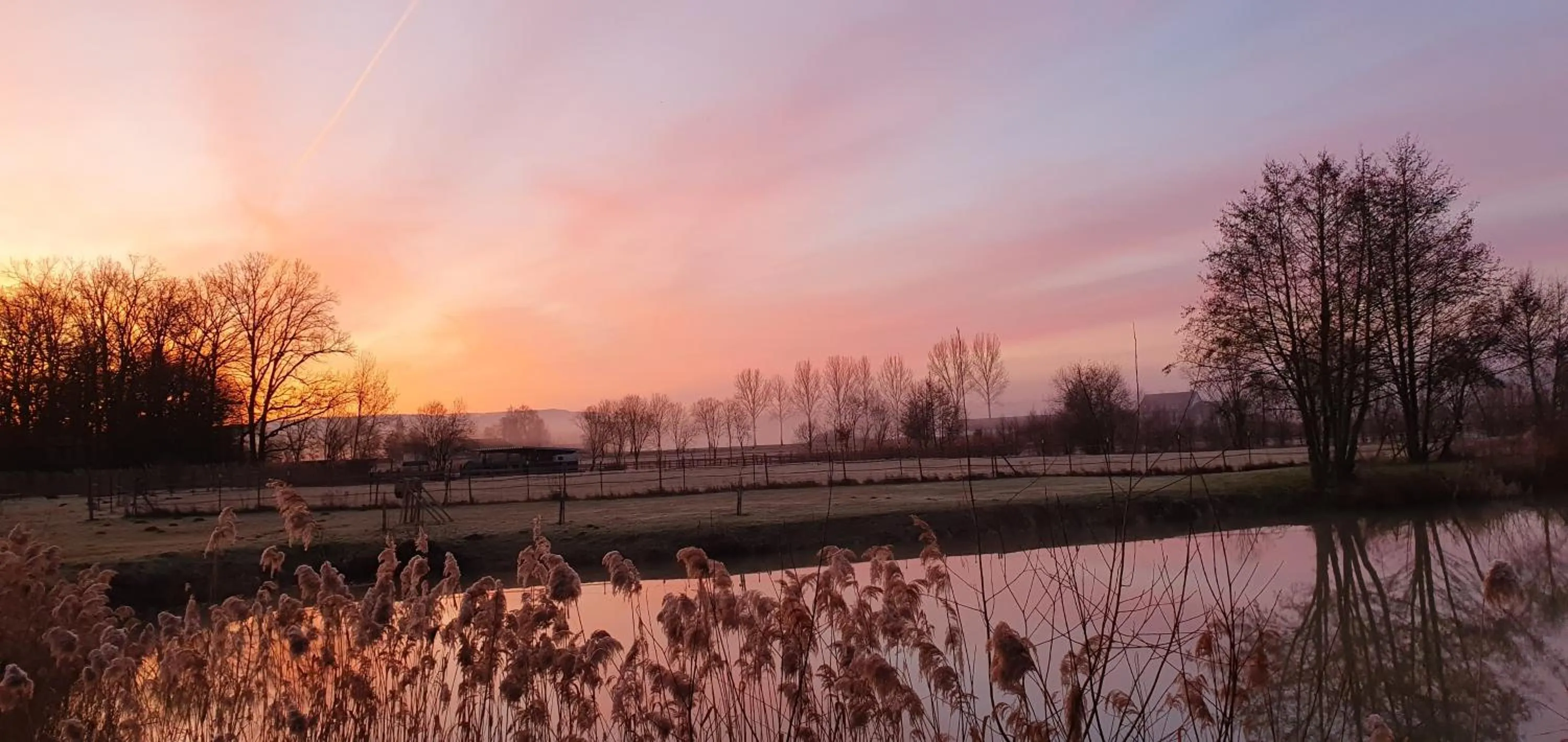 View (from property/room) in Scherauer Hof