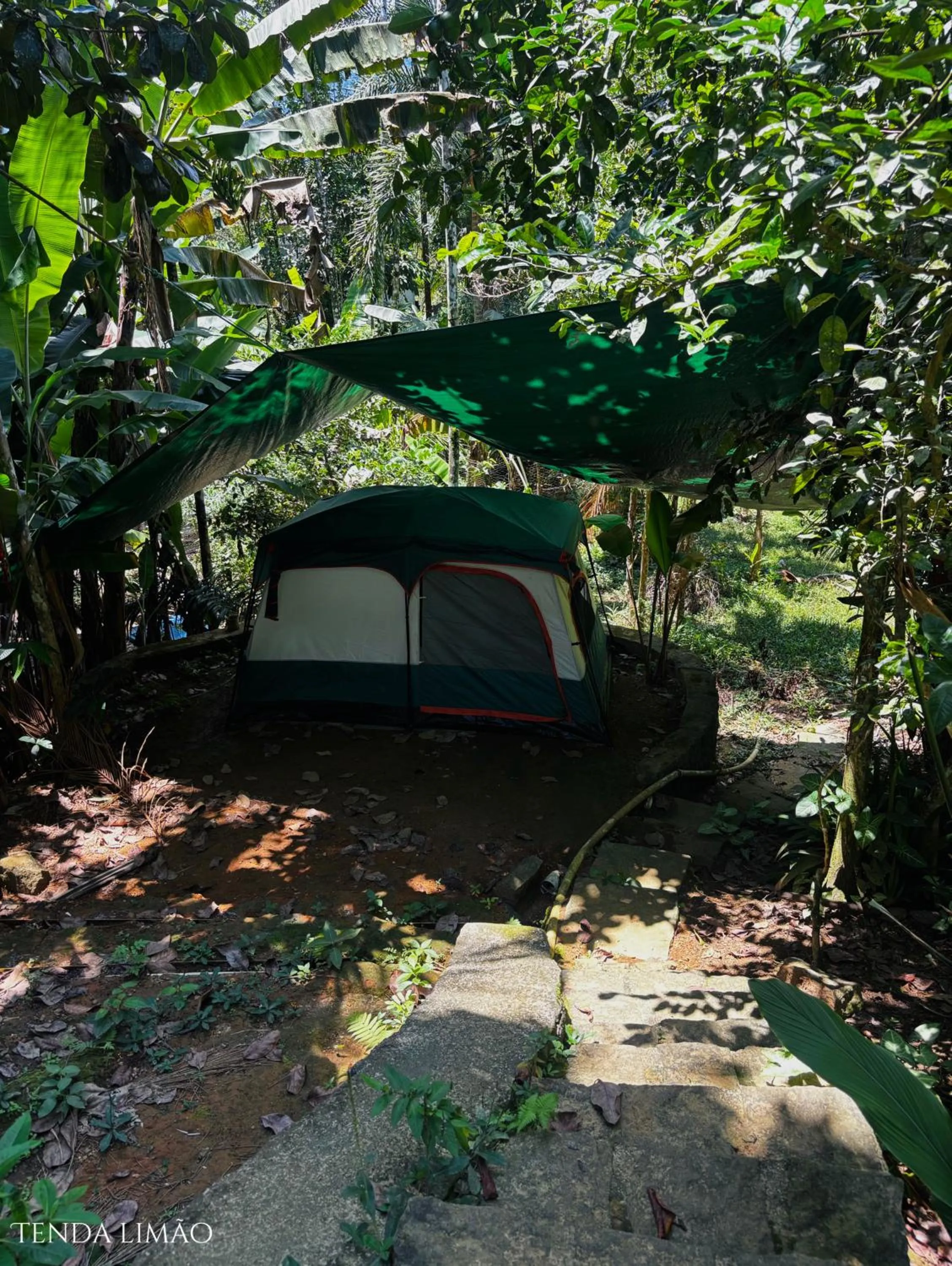 Day in Sitio Simple Life