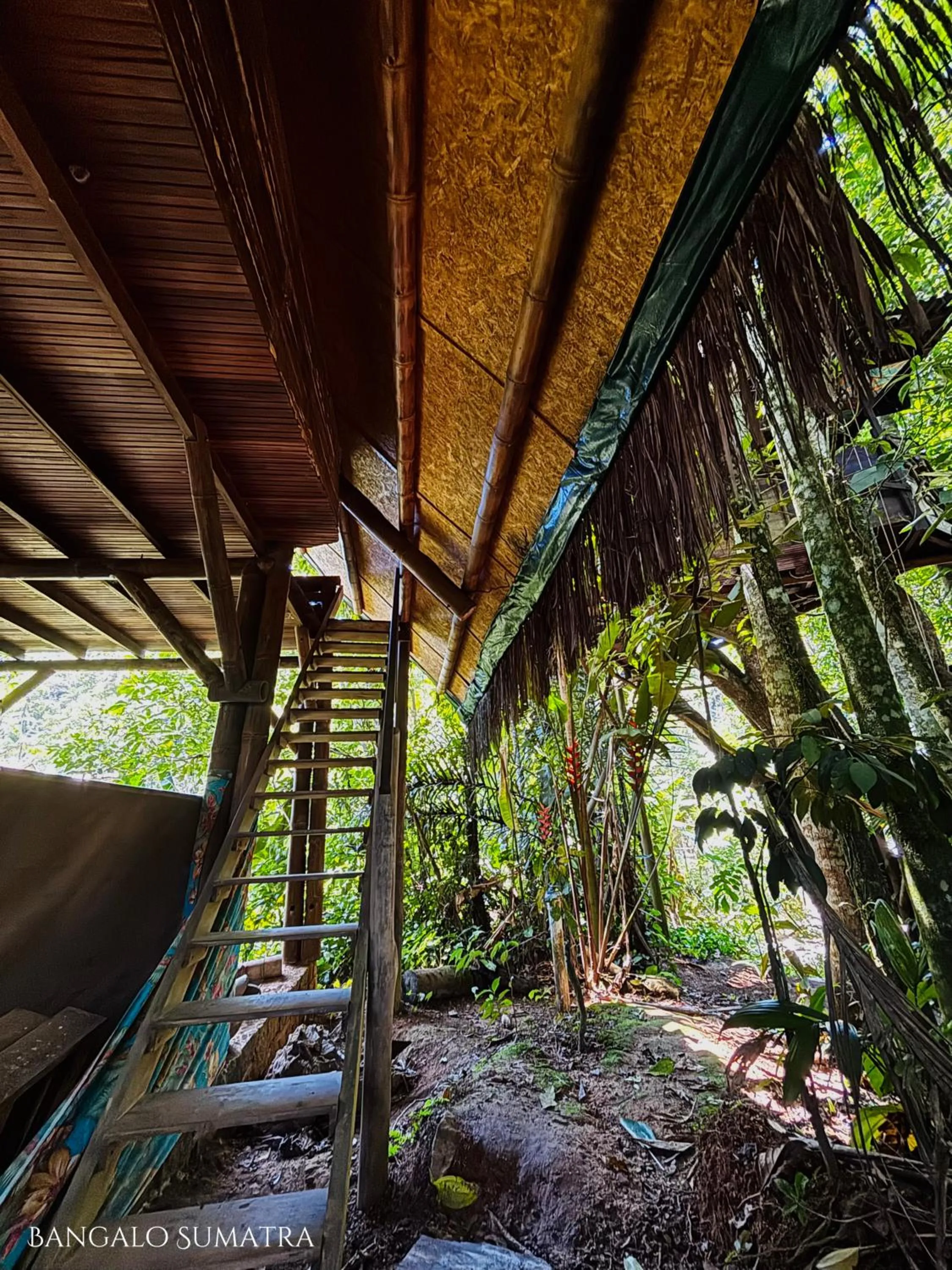 Day in Sitio Simple Life