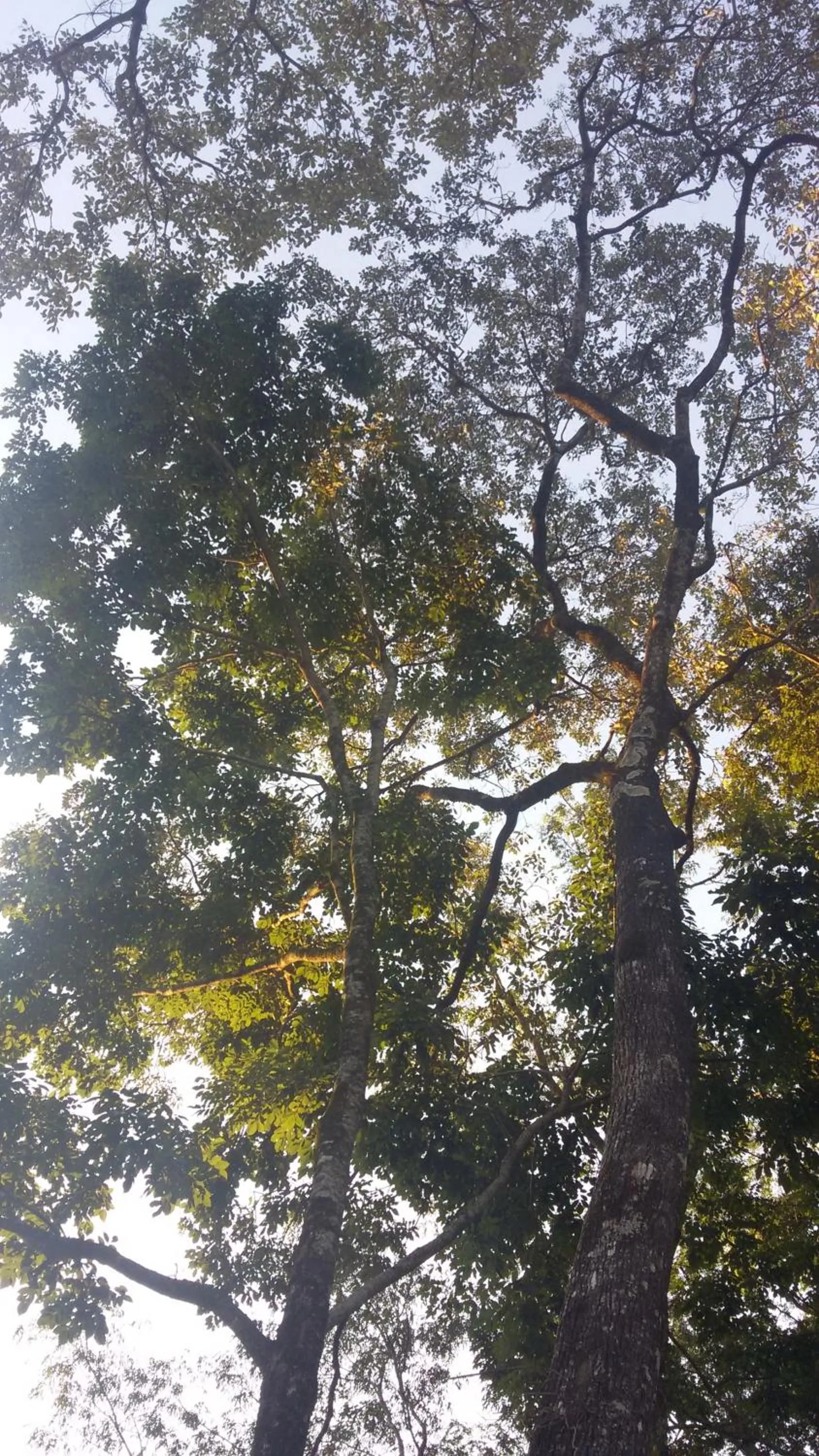 Day in Kelta Hotel Puerto Iguazú CENTRO