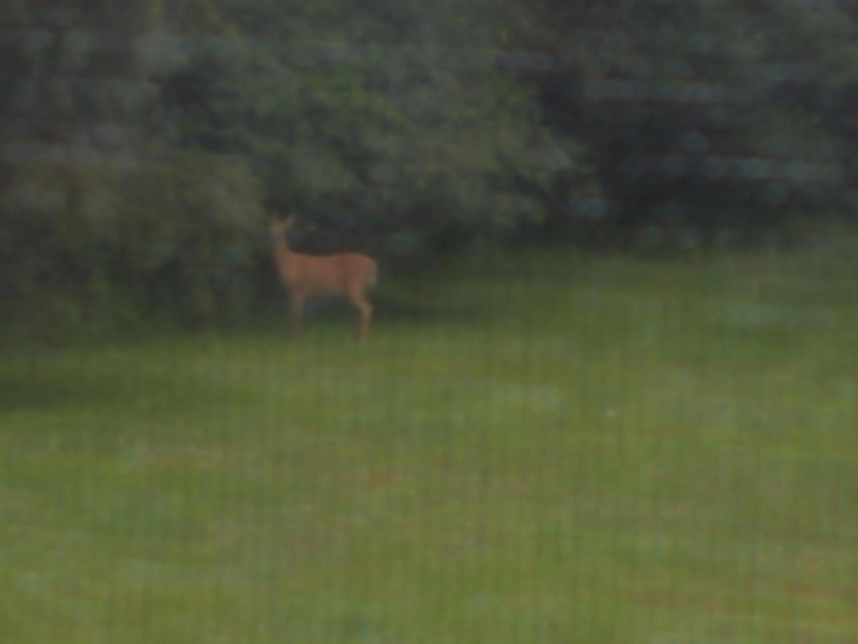 Property building in Tarragon Motel