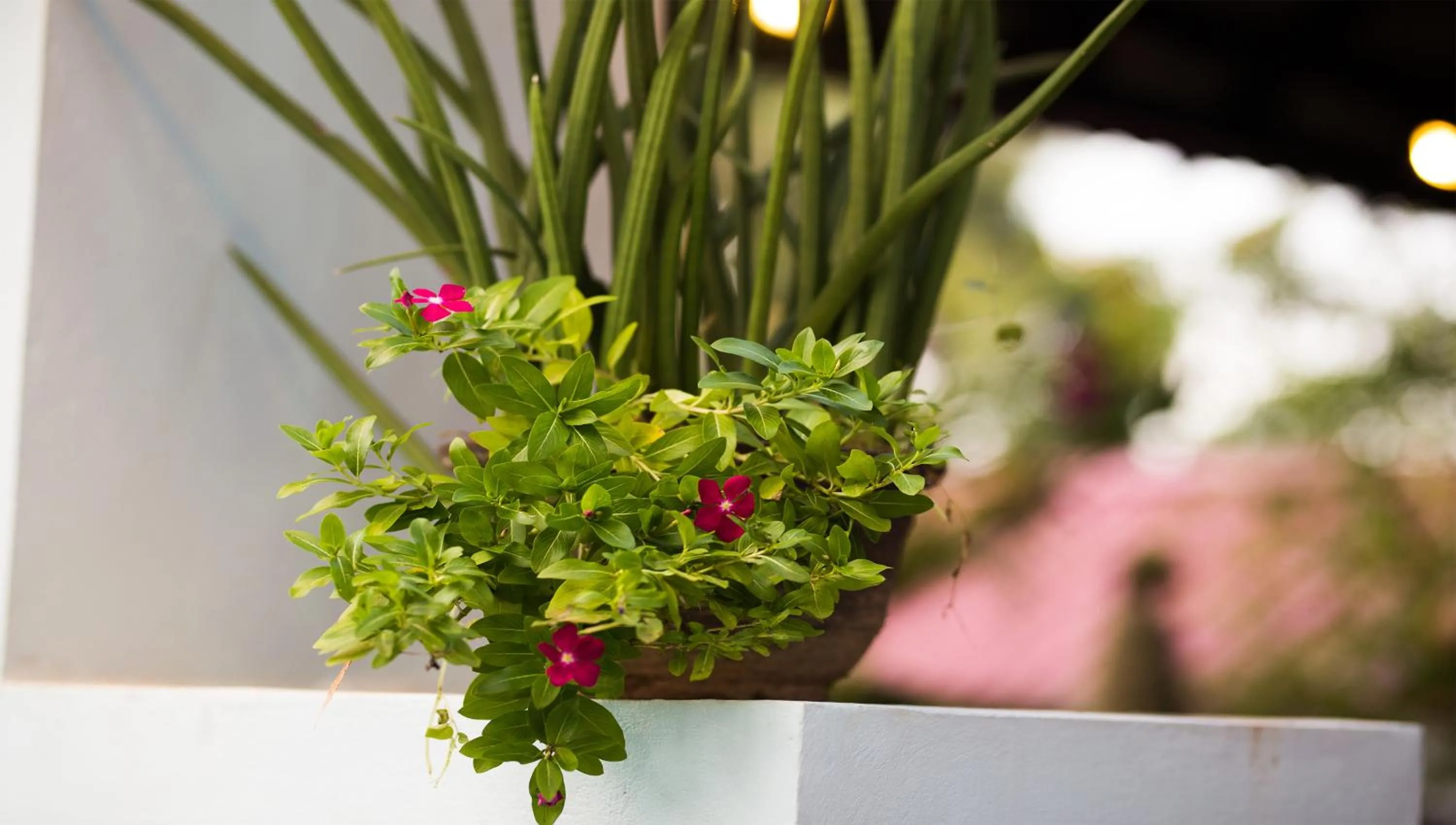 Family in Angkor Ry Boutique