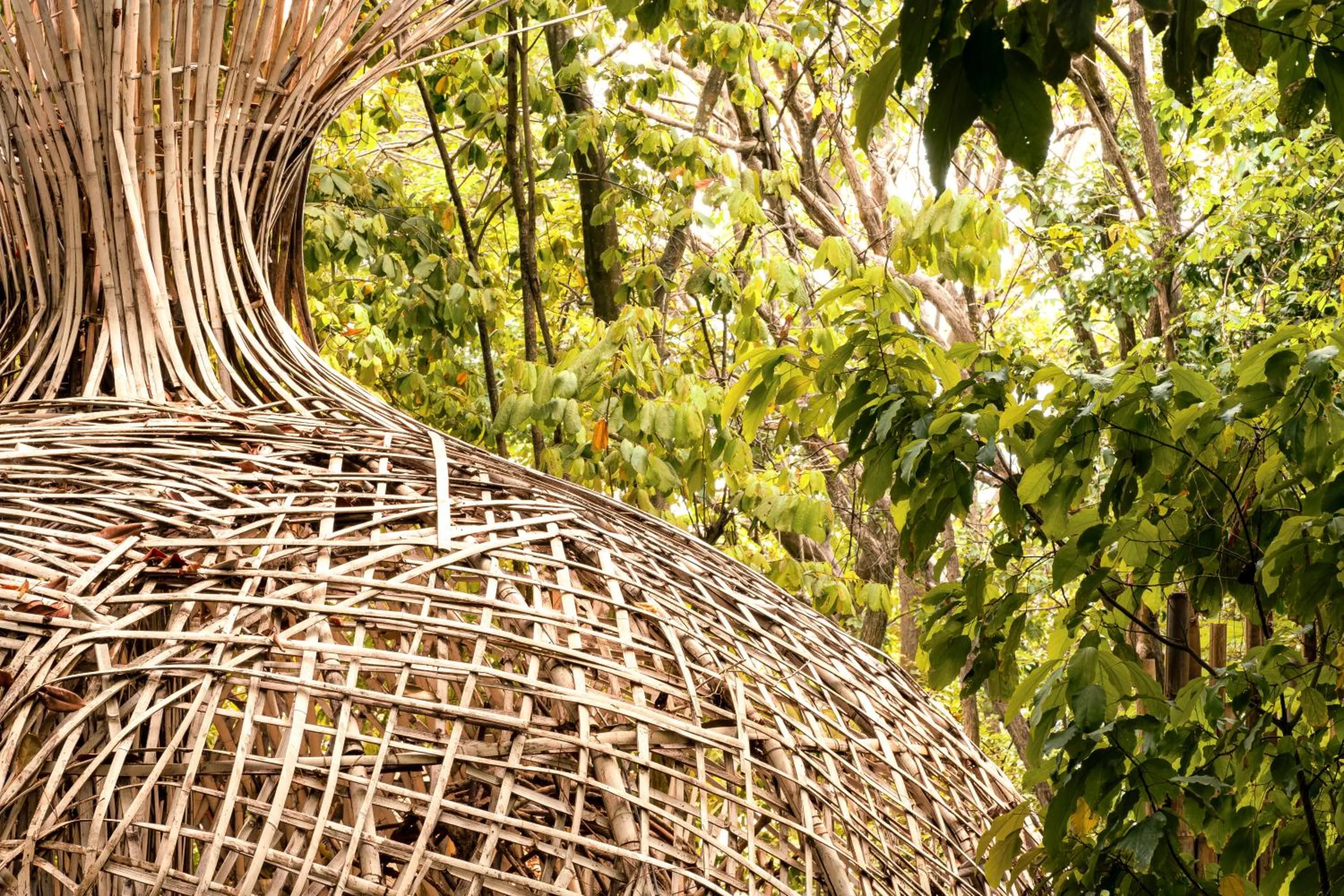 Garden in Somewhere Only We Know Resort