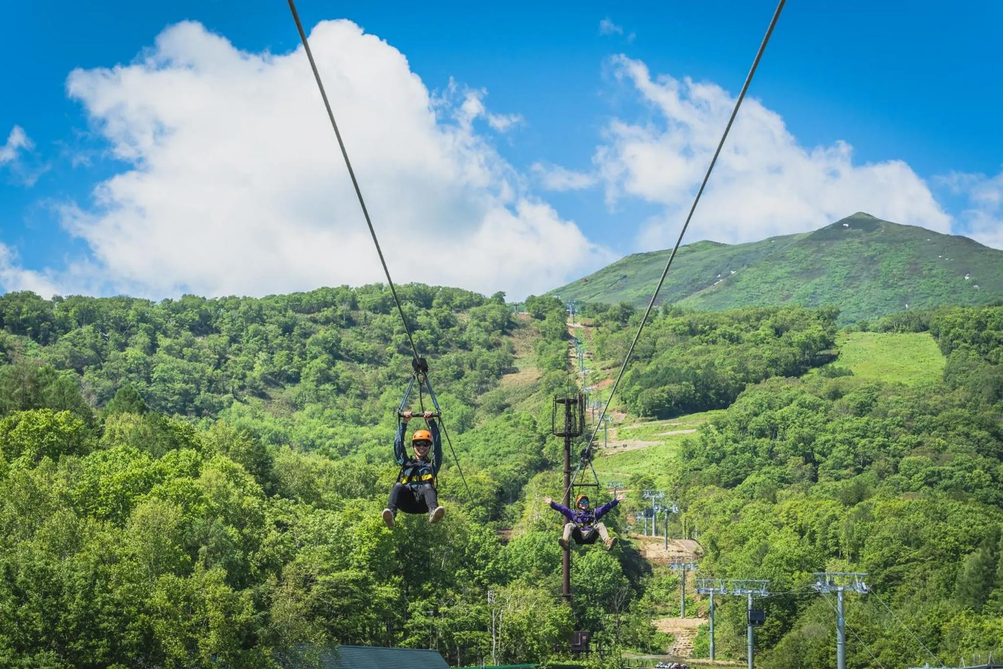 Activities in Greystone