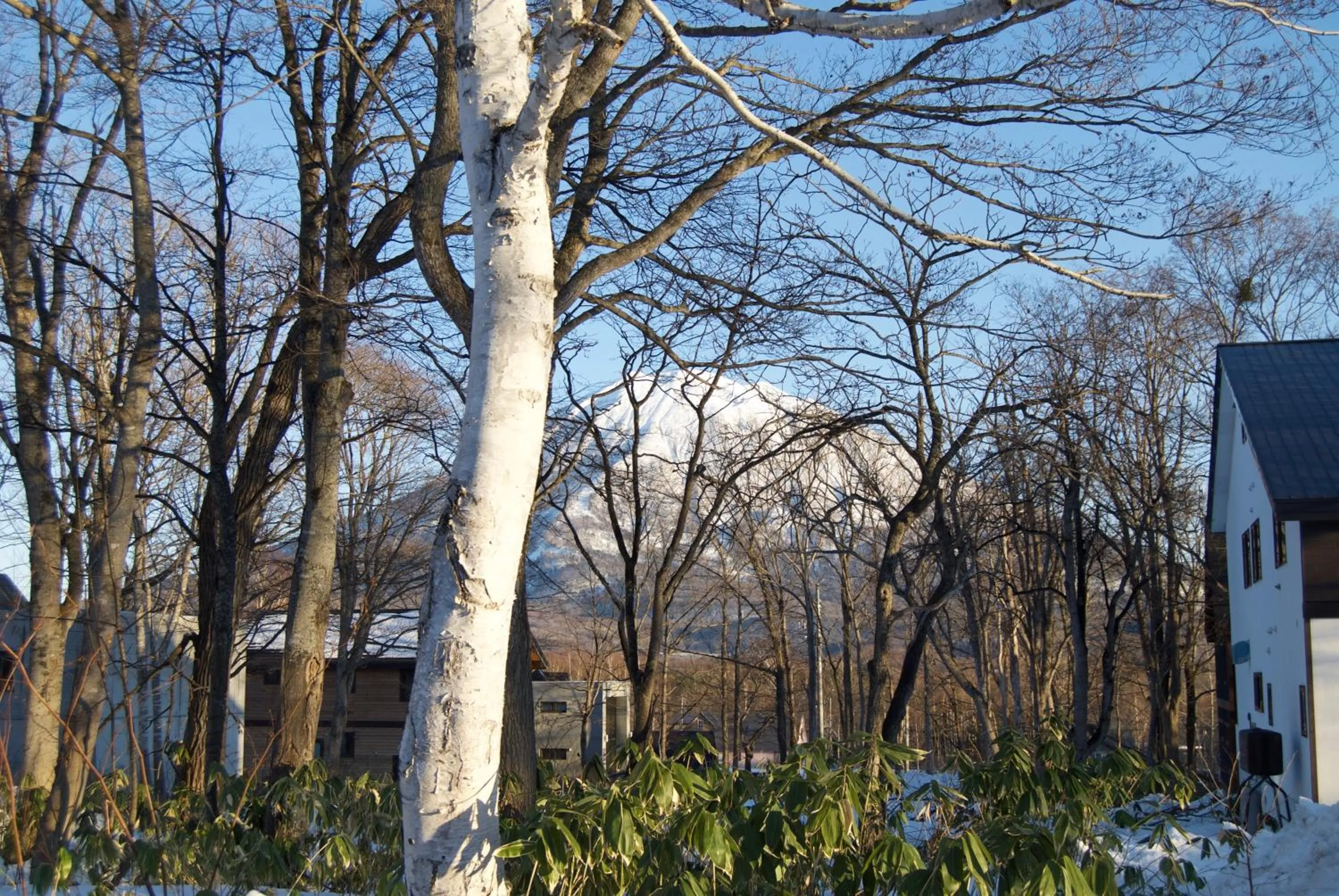 Mountain view in Greystone