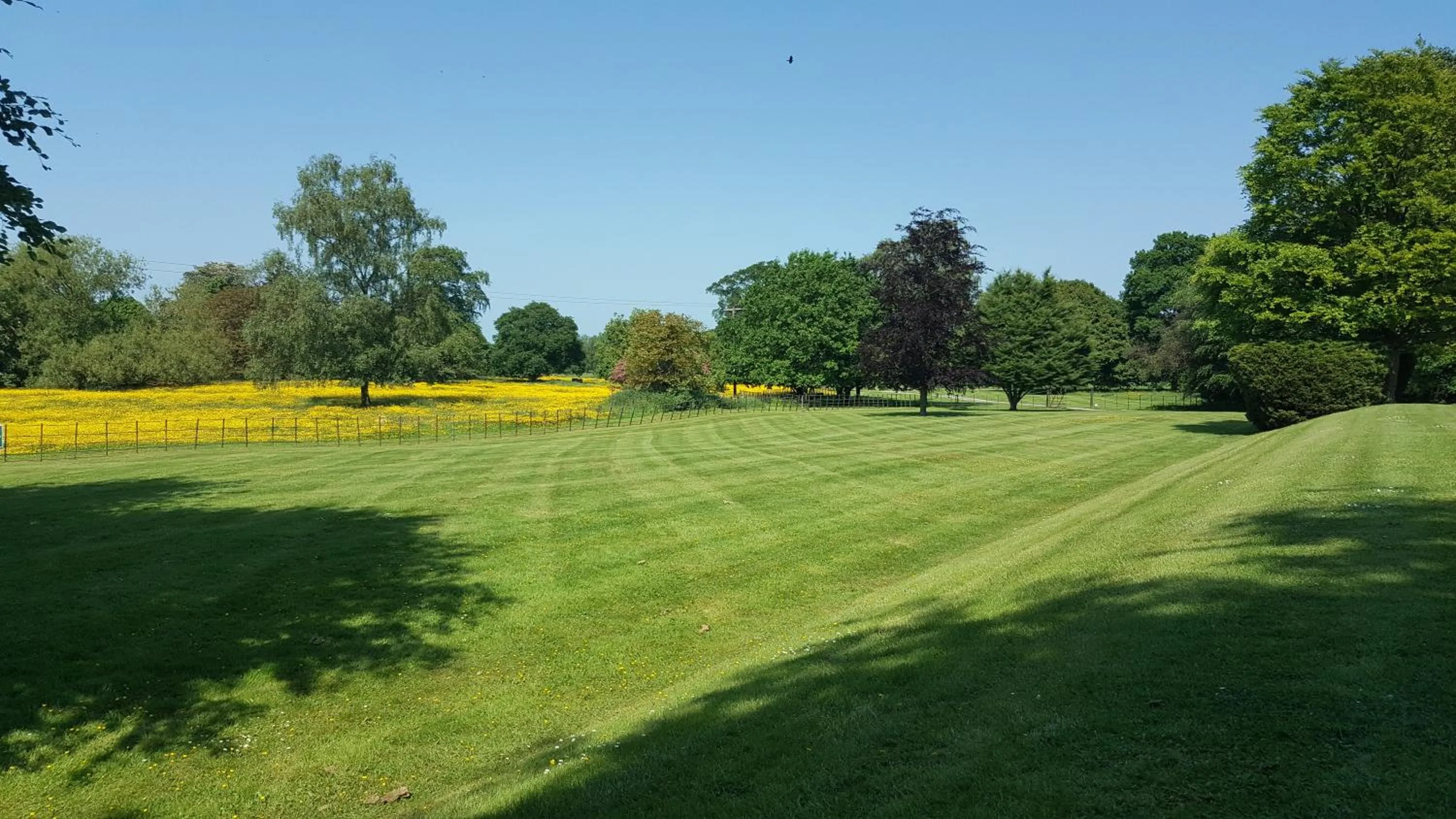 Day in Saltmarshe Hall