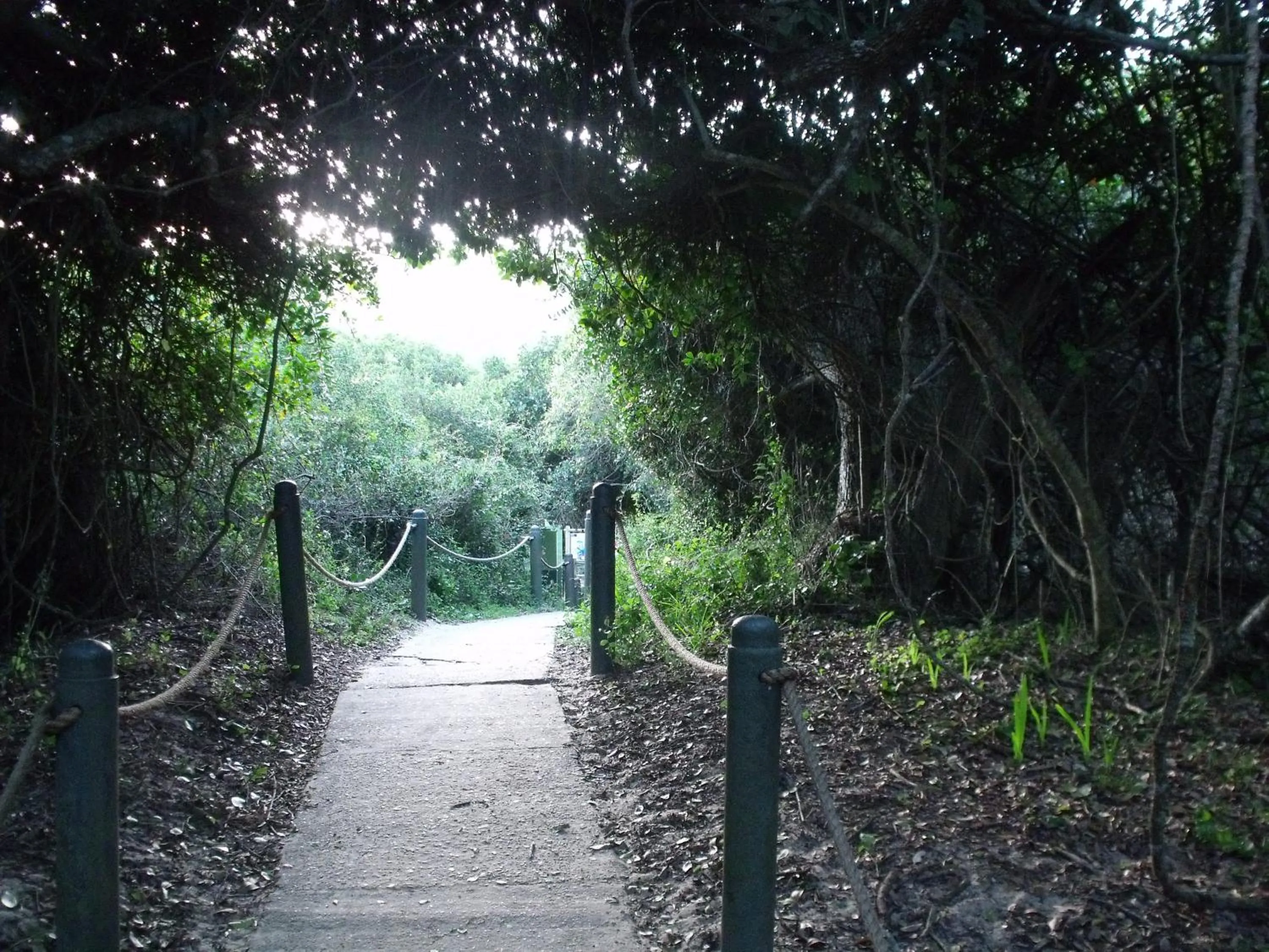 Property building in Kamma-Otter