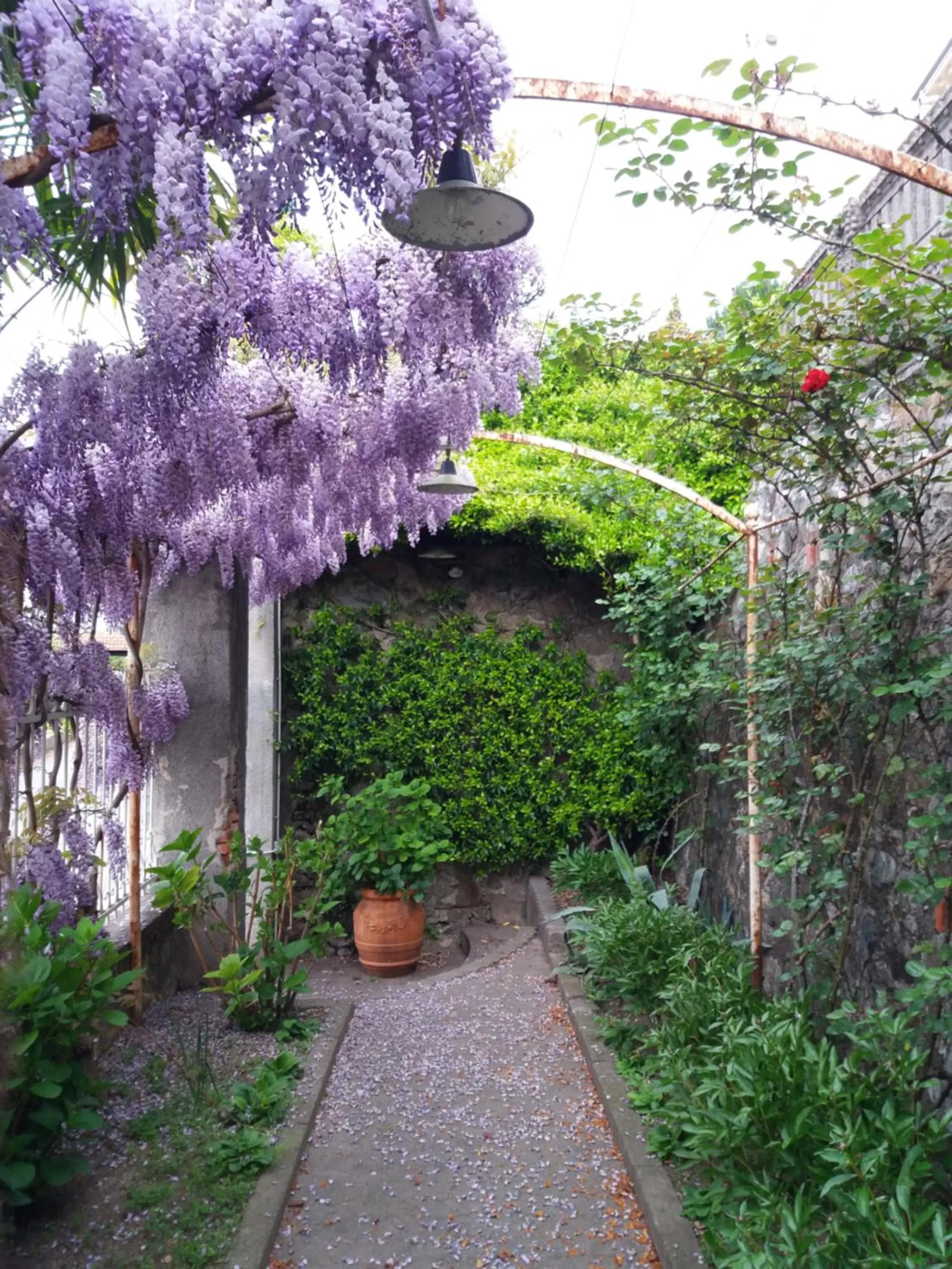 Garden in Novecento B&B
