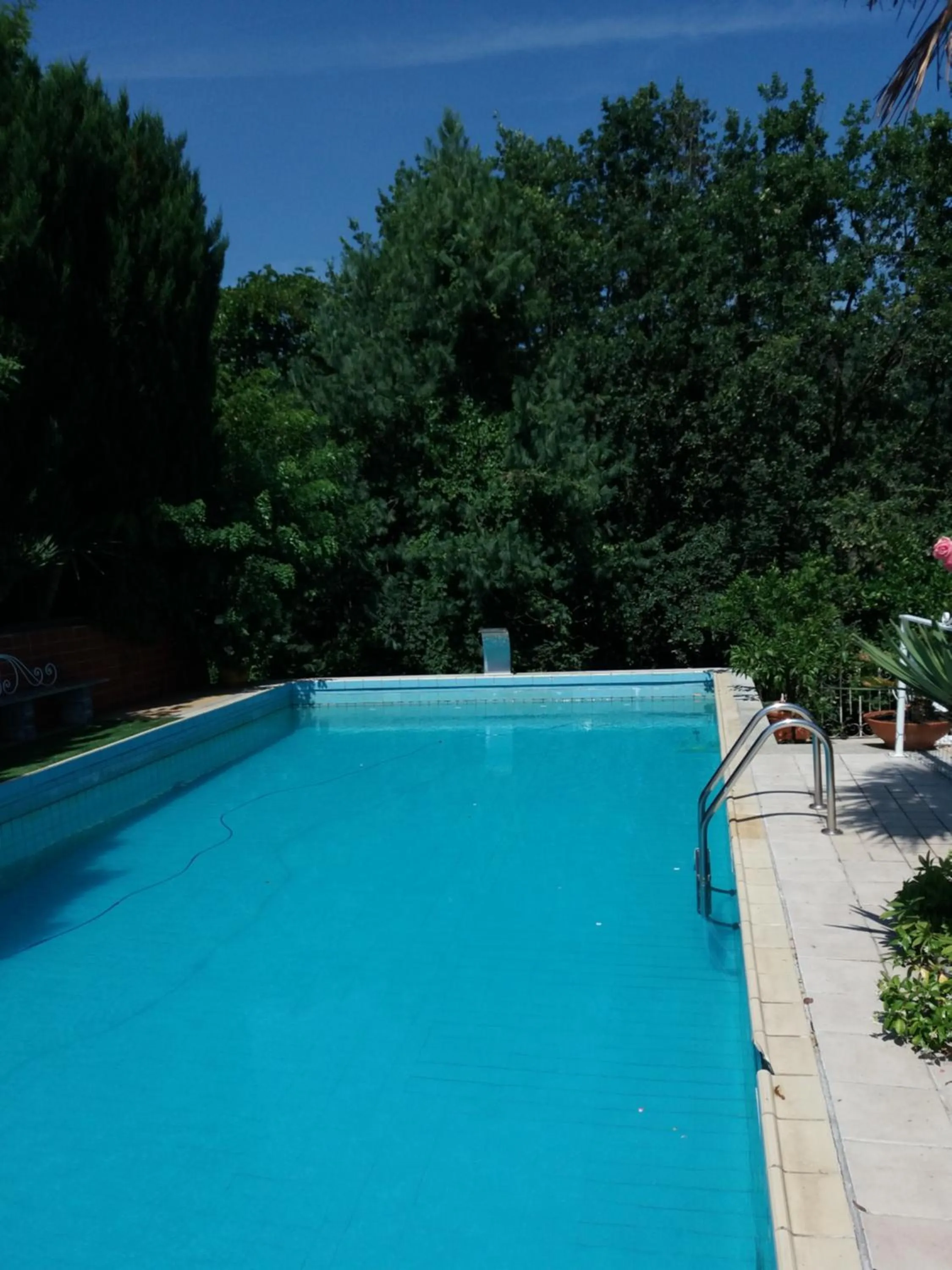 Swimming pool in Novecento B&B