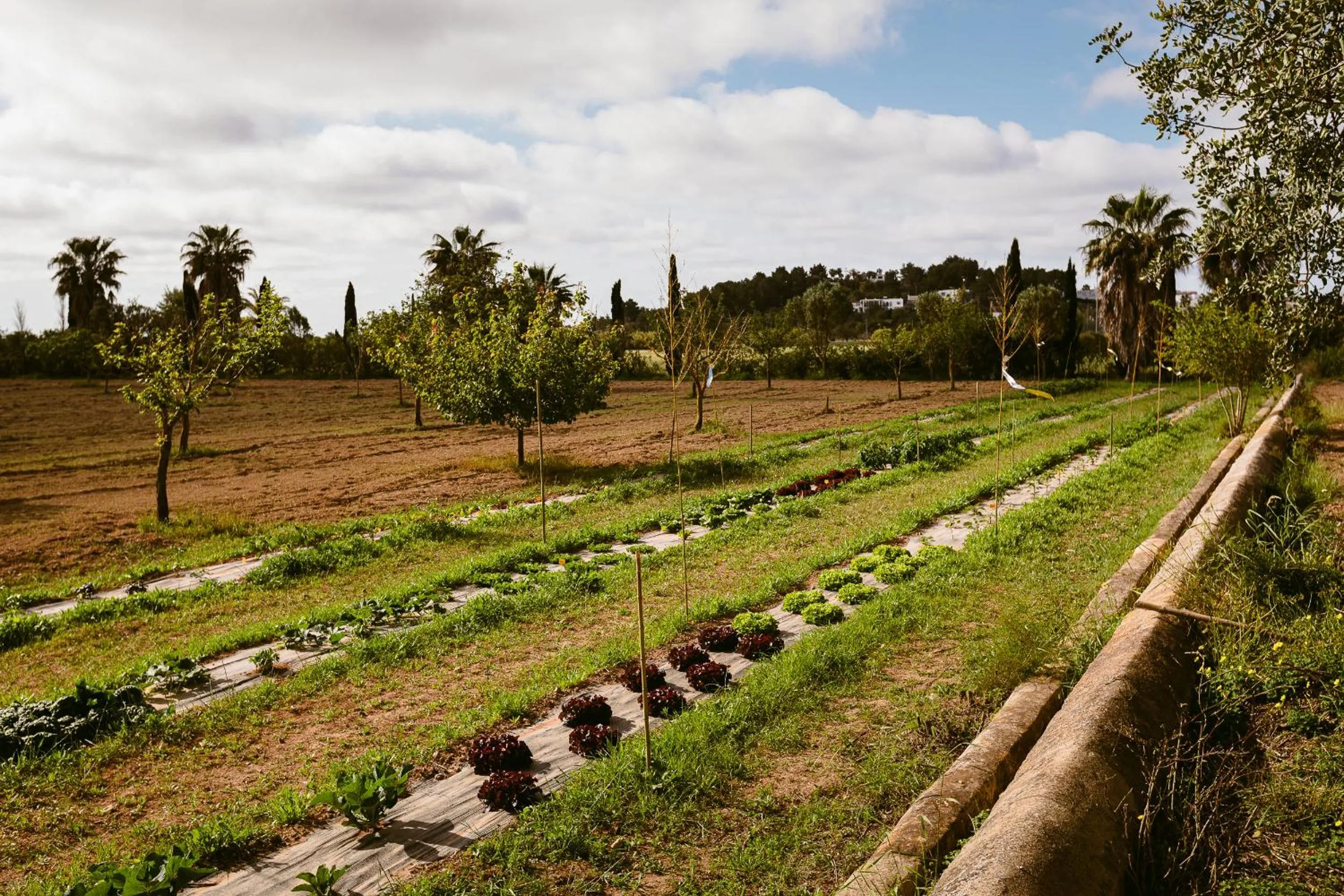 Food in Hotel Rural Xereca