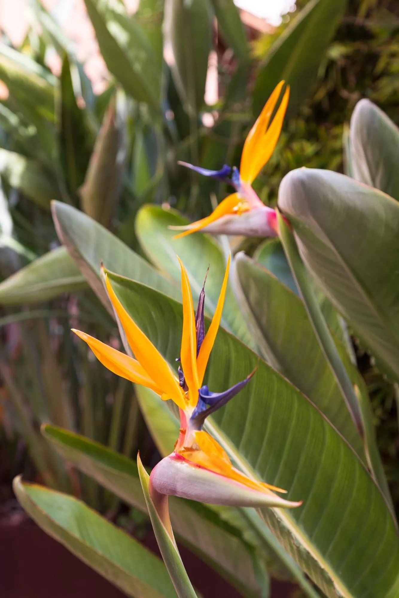 Decorative detail in Hotel Rural Xereca