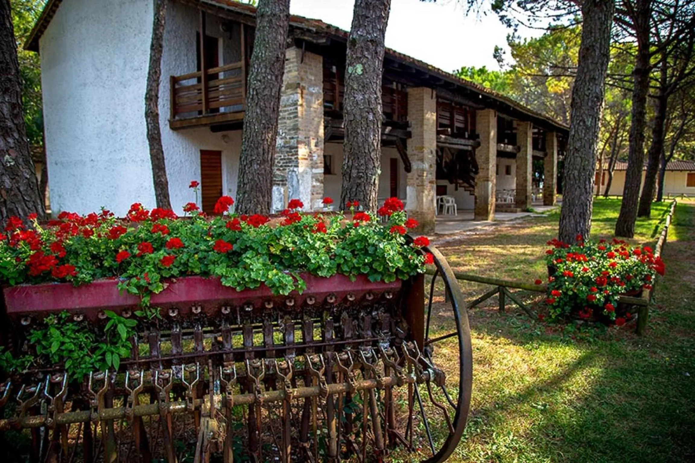 Belvedere Pineta Camping Village Grado