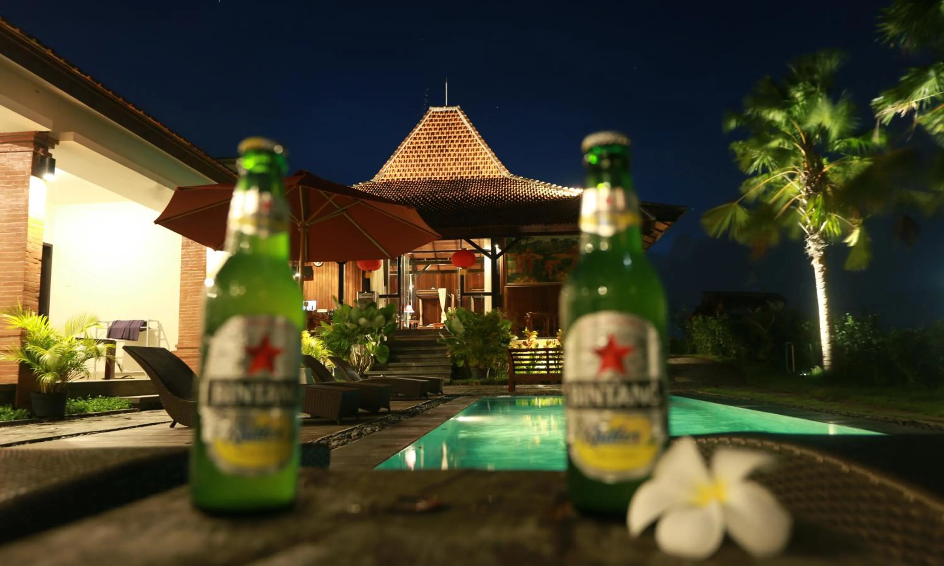 Pool view in Kampung Canggu