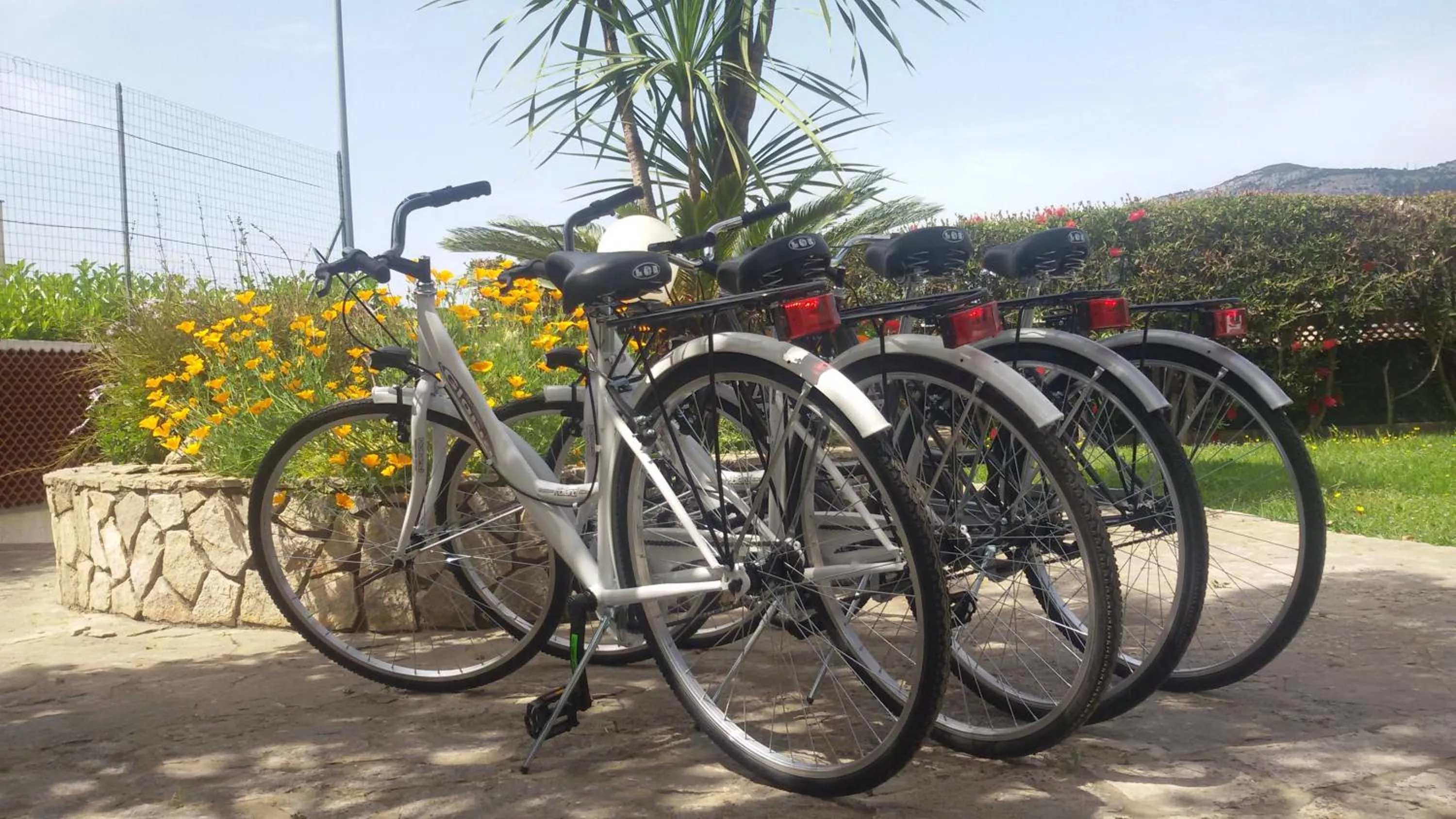 Garden in Green House