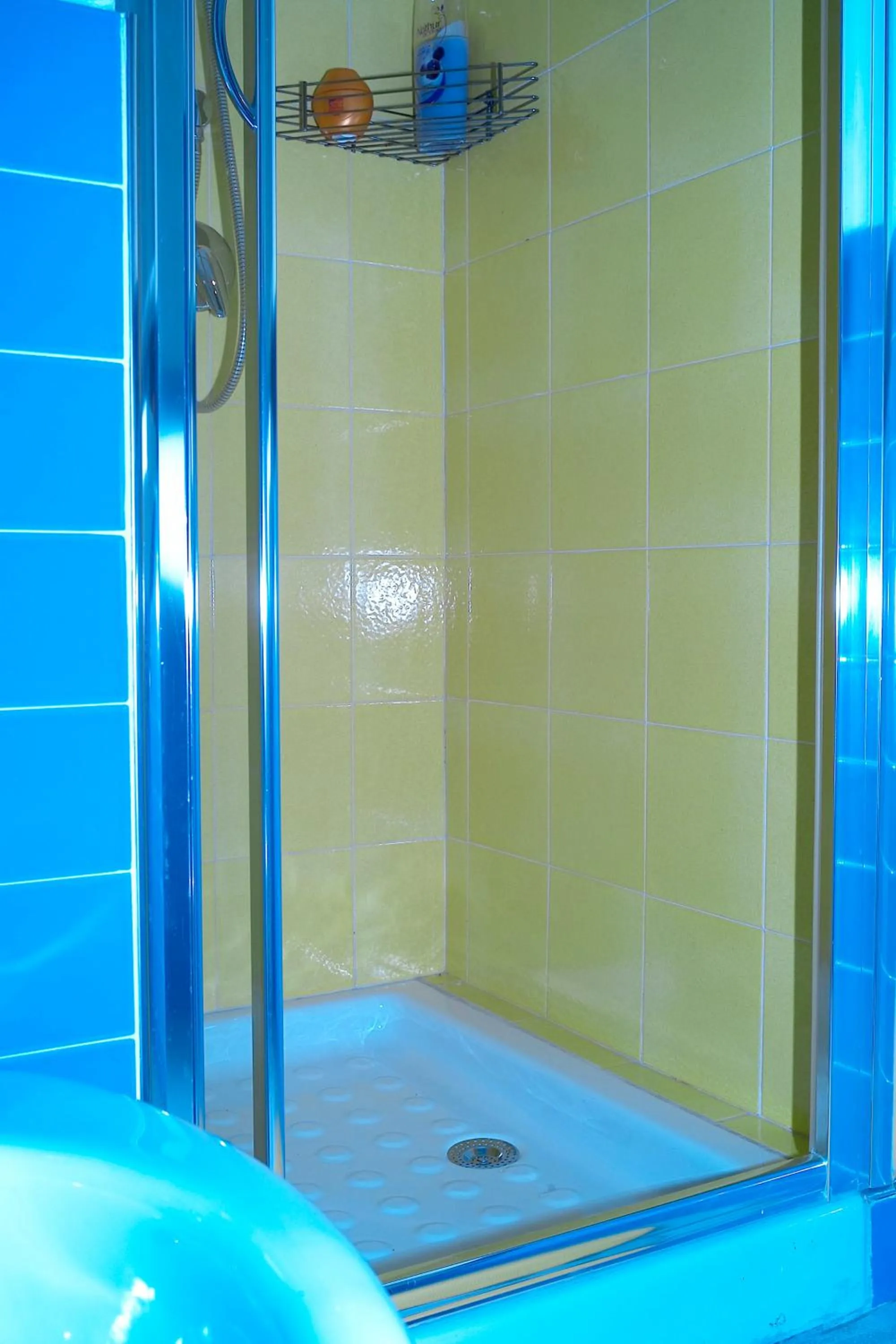 Shower in Green House