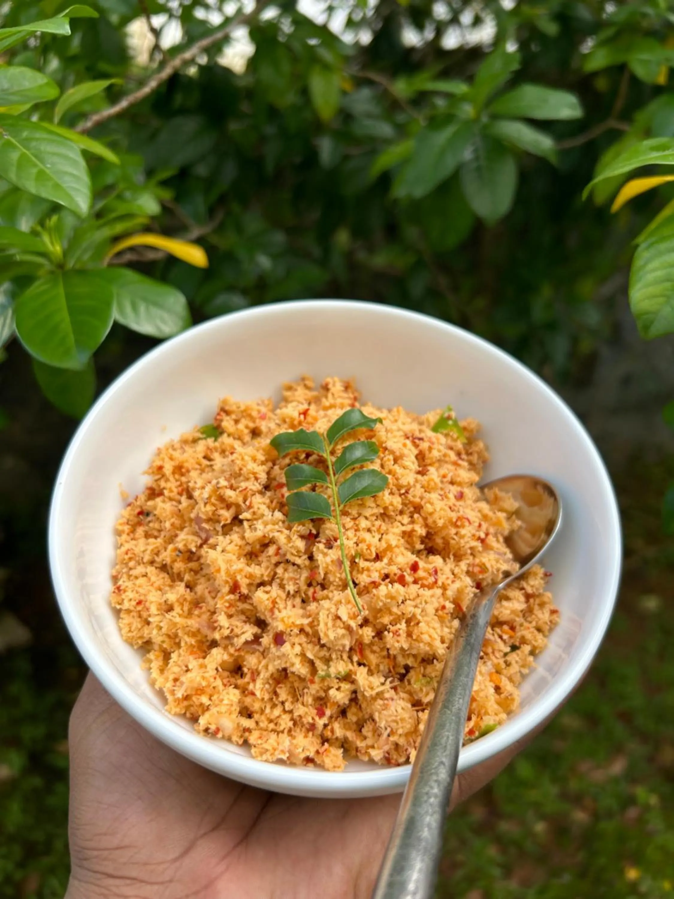 Breakfast in Villa Kubura