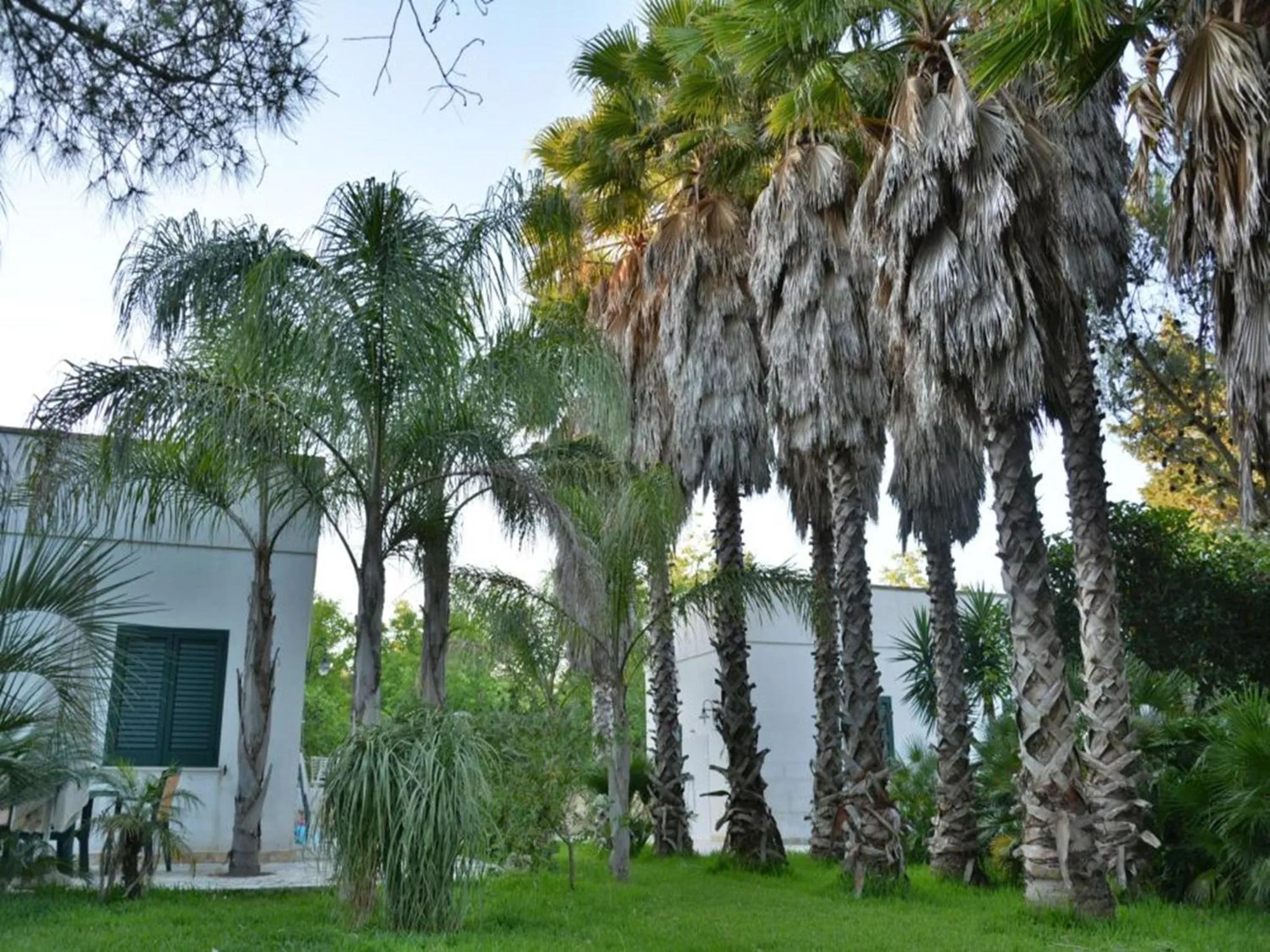 Garden in Masseria Lama