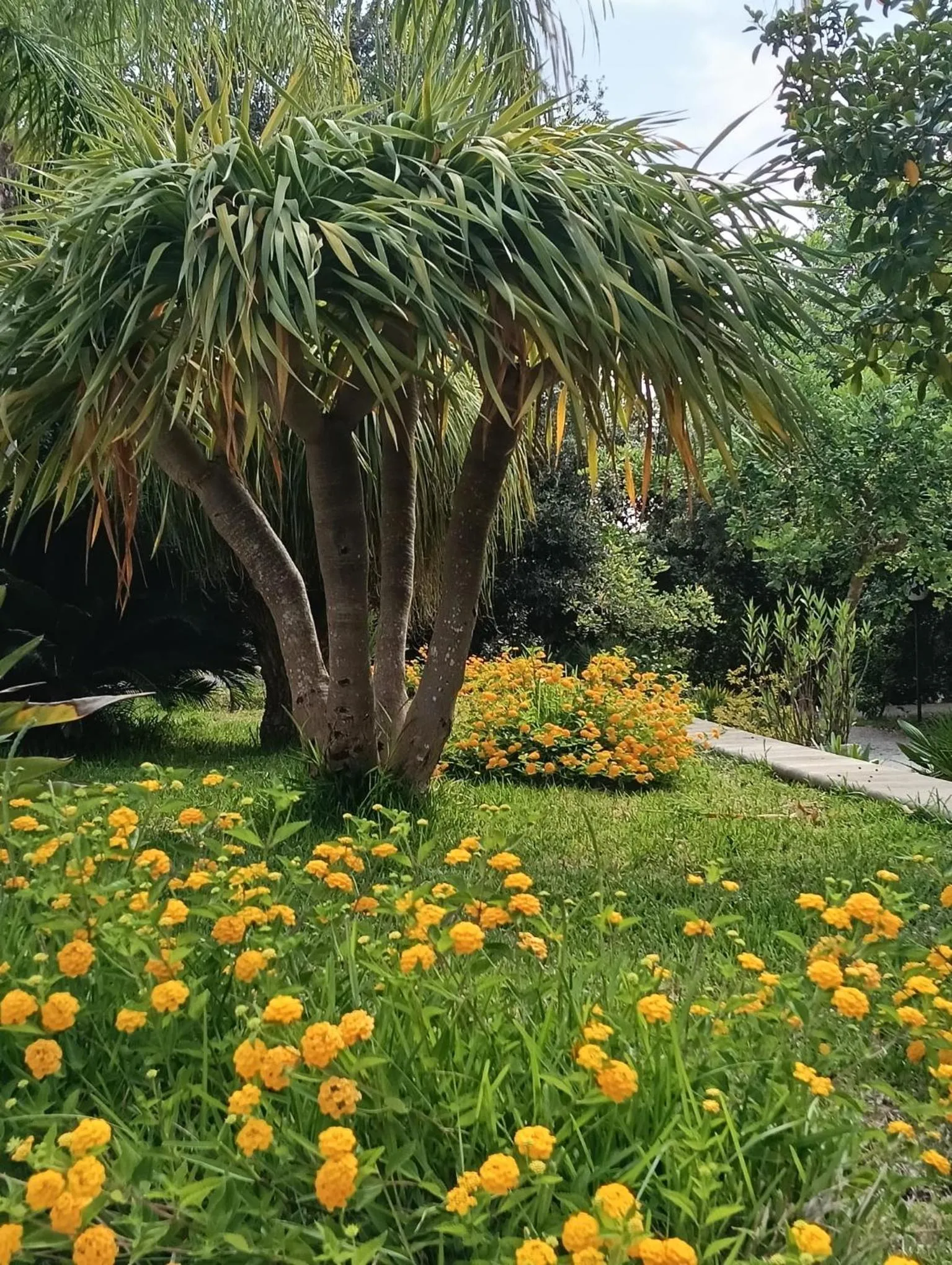 Property building in Masseria Lama