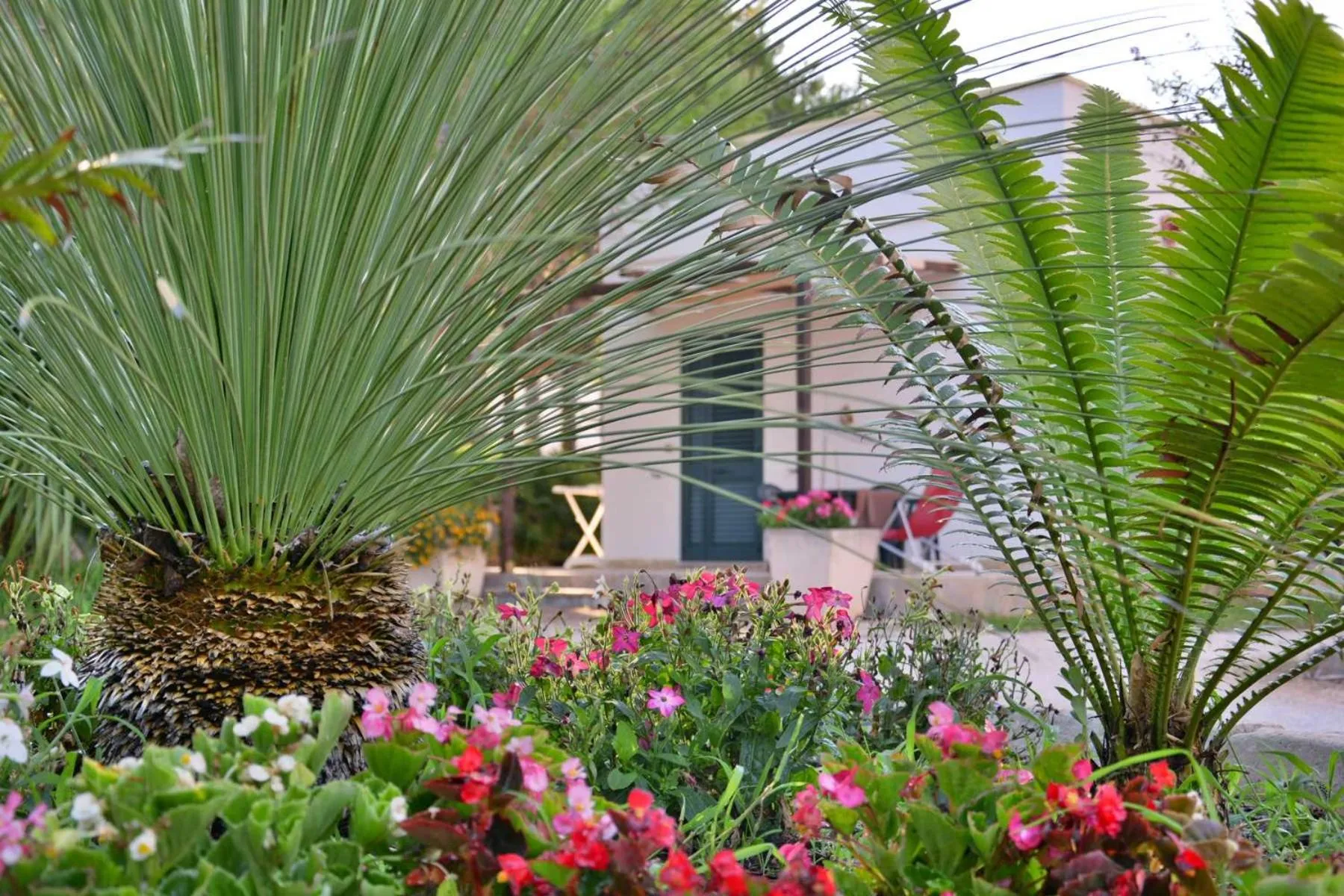 Property building in Masseria Lama