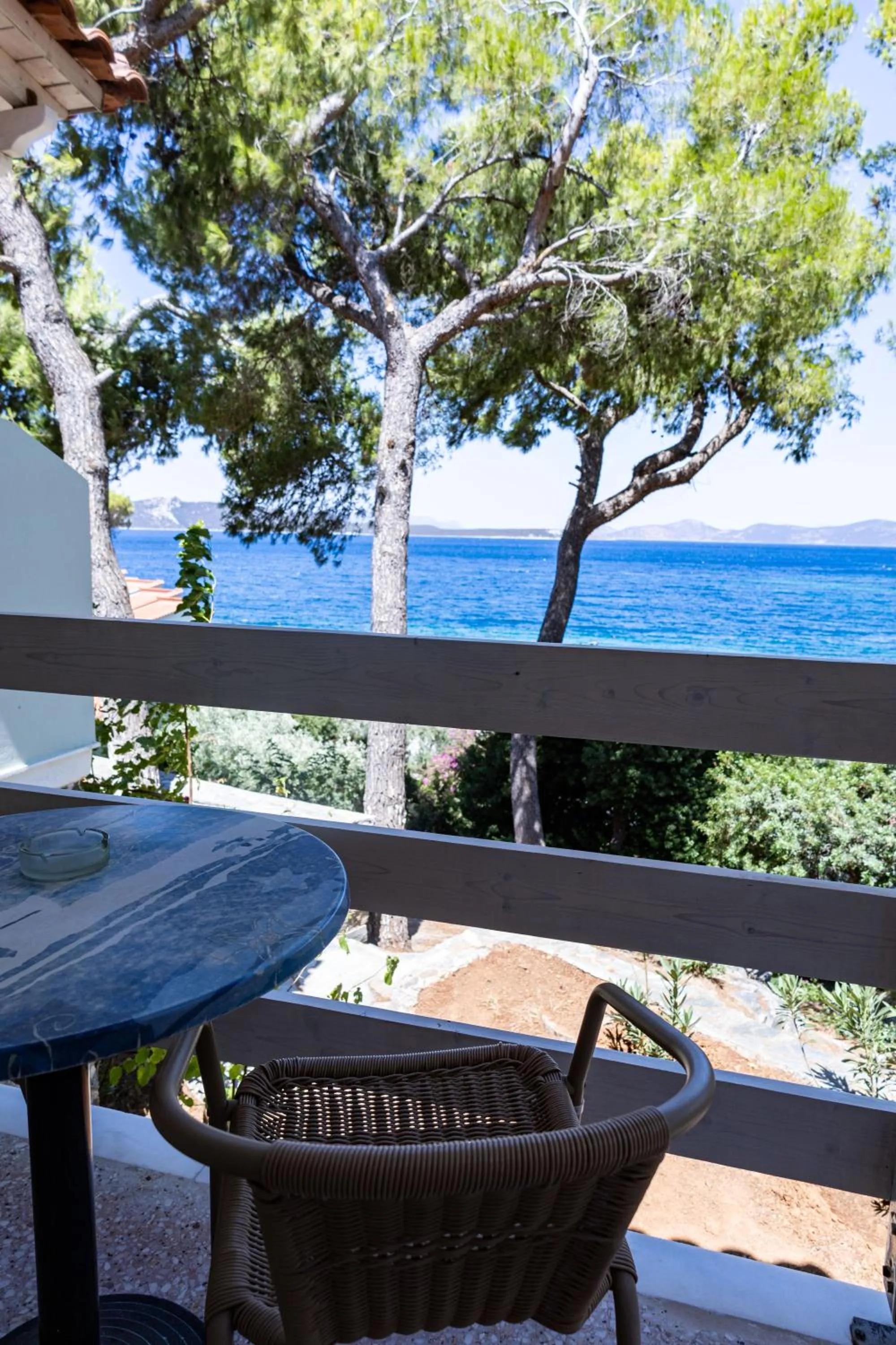 View (from property/room) in Venus Beach Hotel