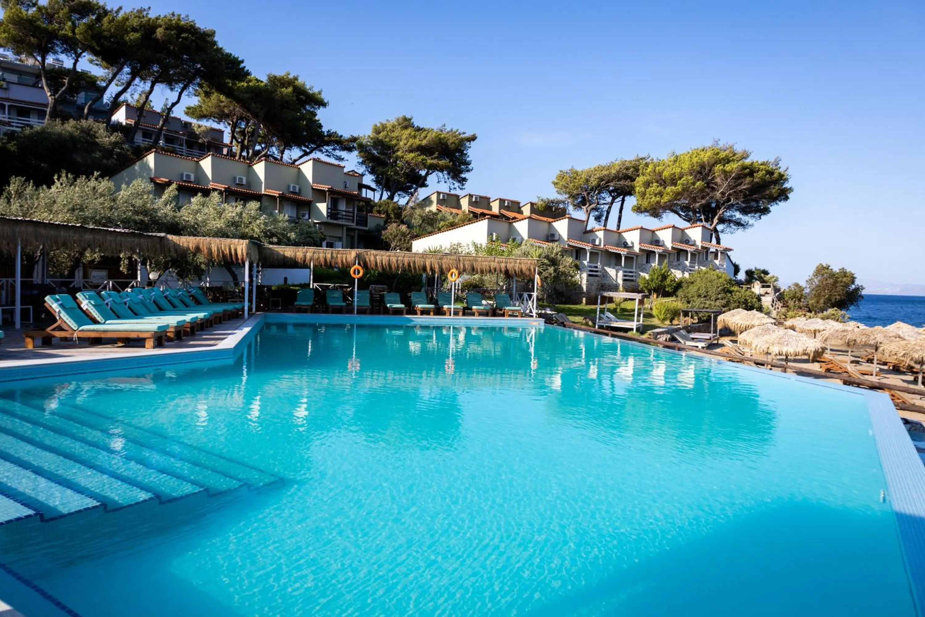 Swimming pool in Venus Beach Hotel