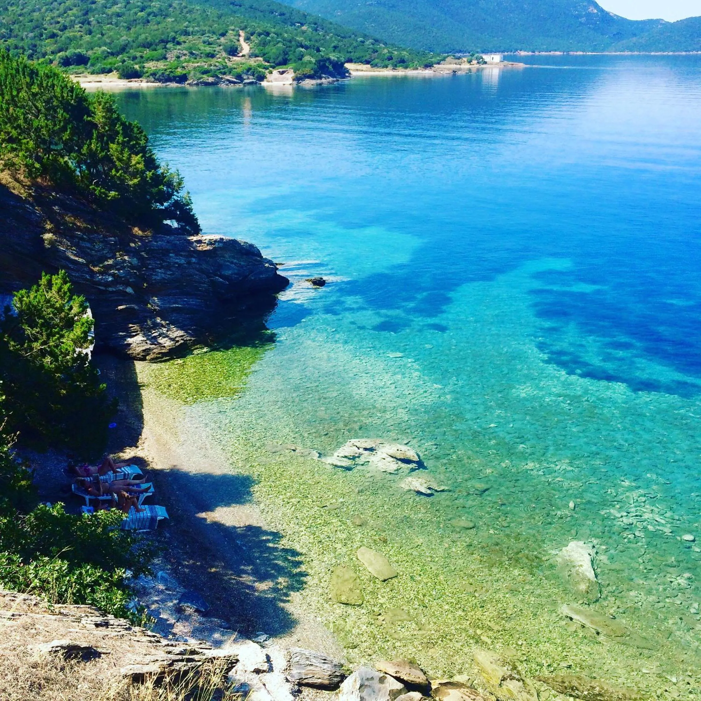 Beach in Venus Beach Hotel