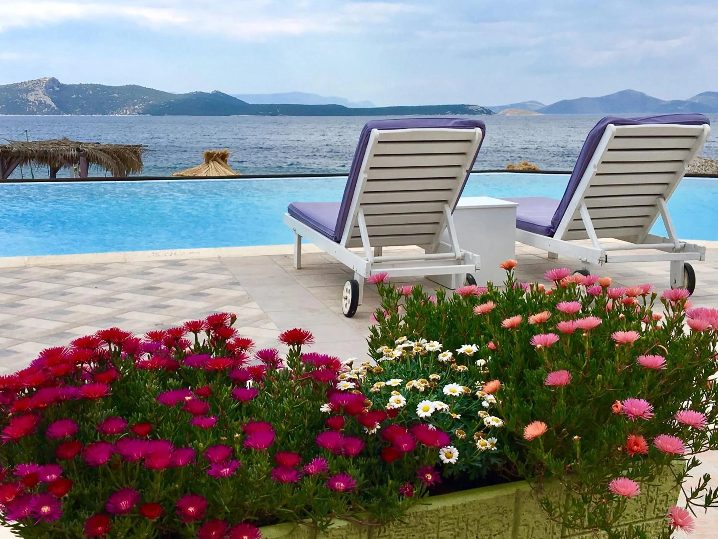 Swimming pool in Venus Beach Hotel