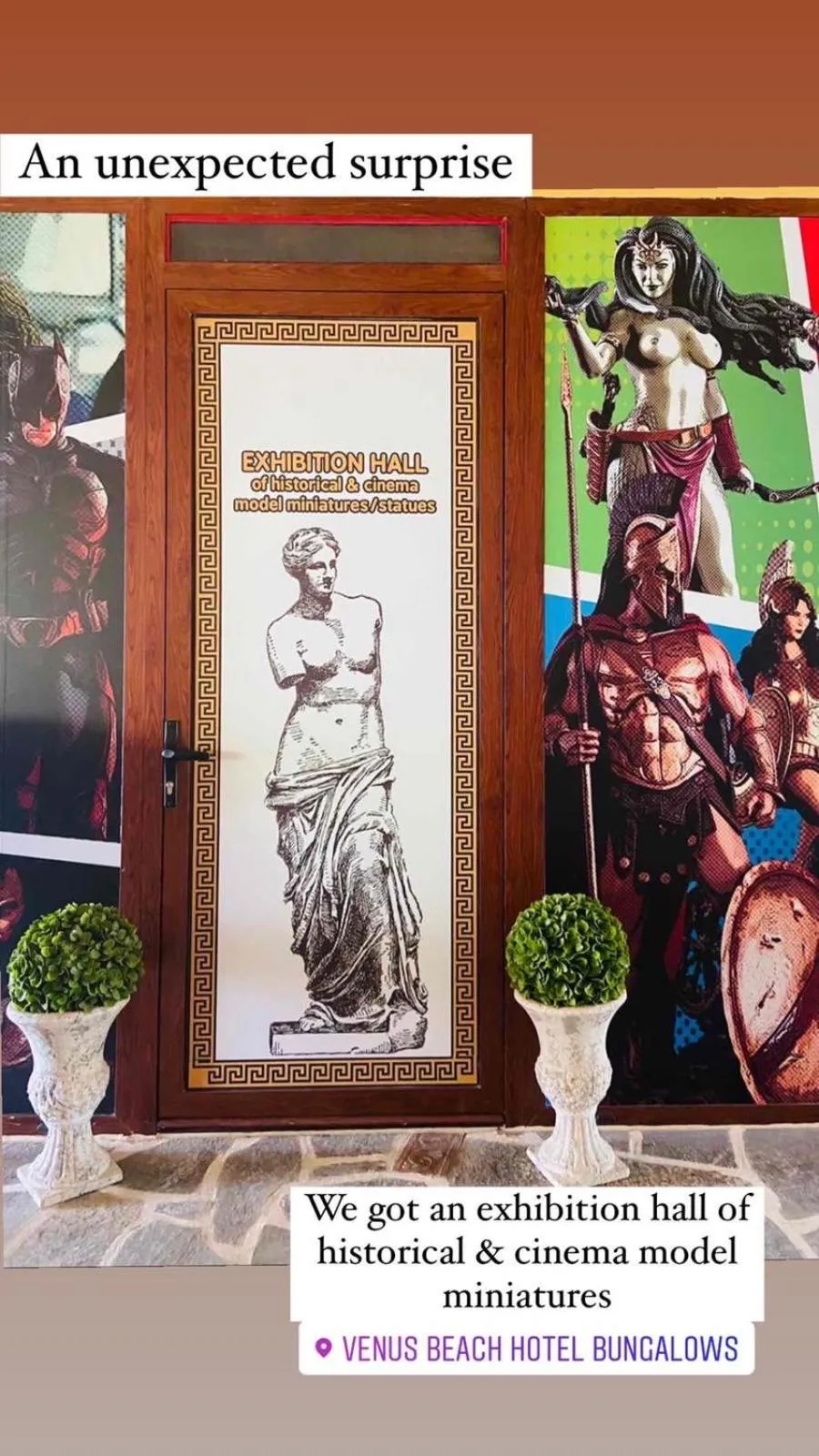 Activities in Venus Beach Hotel