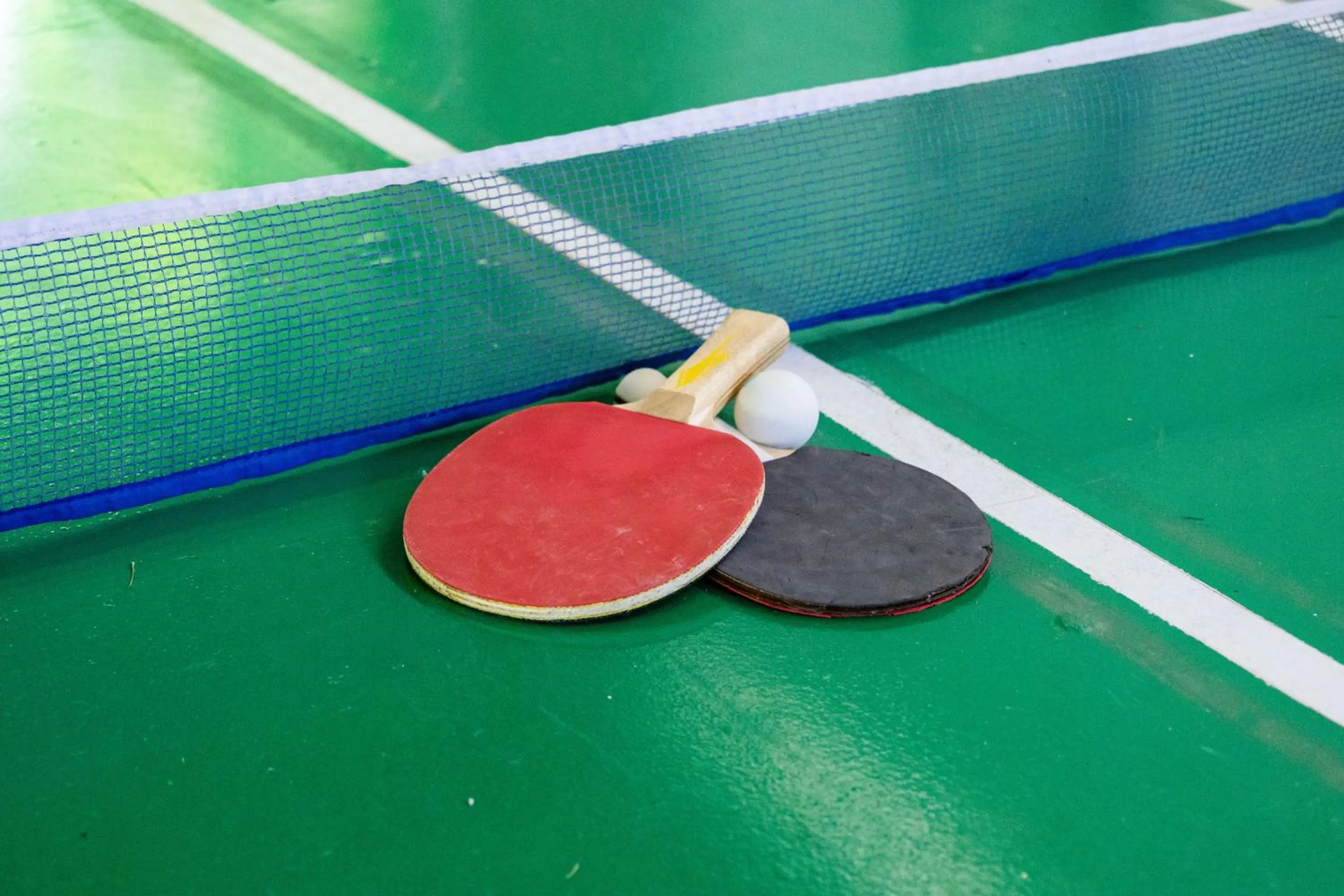 Table tennis in Venus Beach Hotel