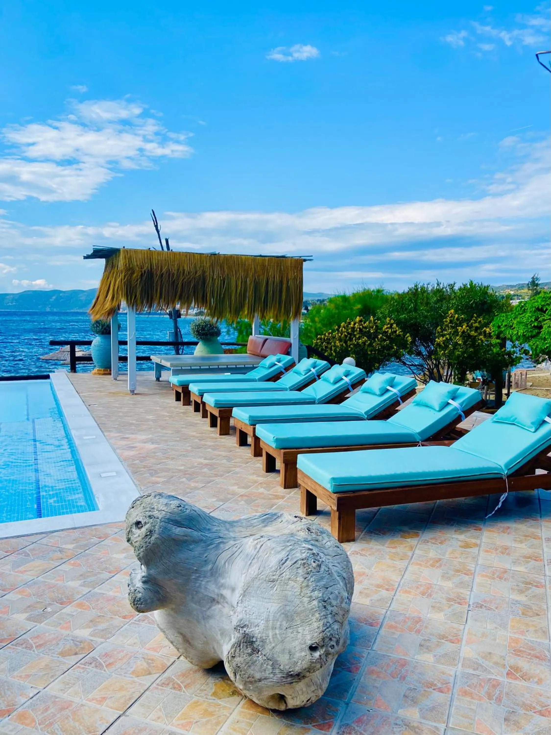 Swimming pool in Venus Beach Hotel