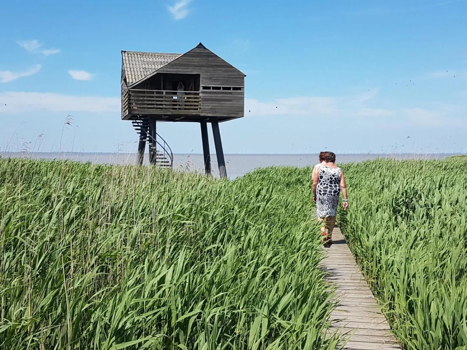 Natural landscape in Hotel Garni Am Lindenhof Bunde