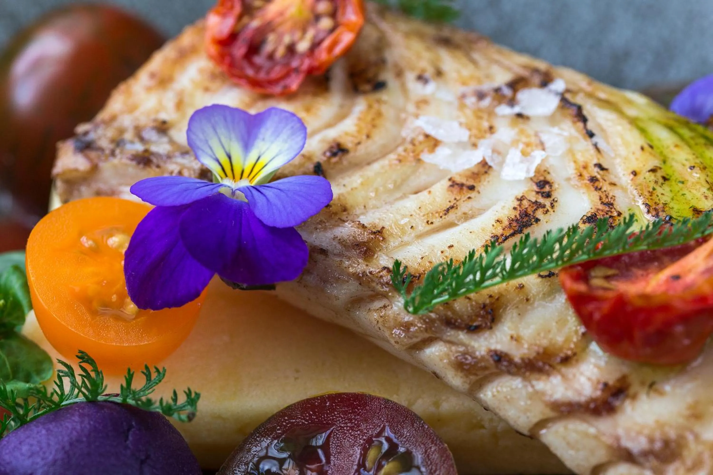 Lunch in Hotel Pałac Alexandrinum