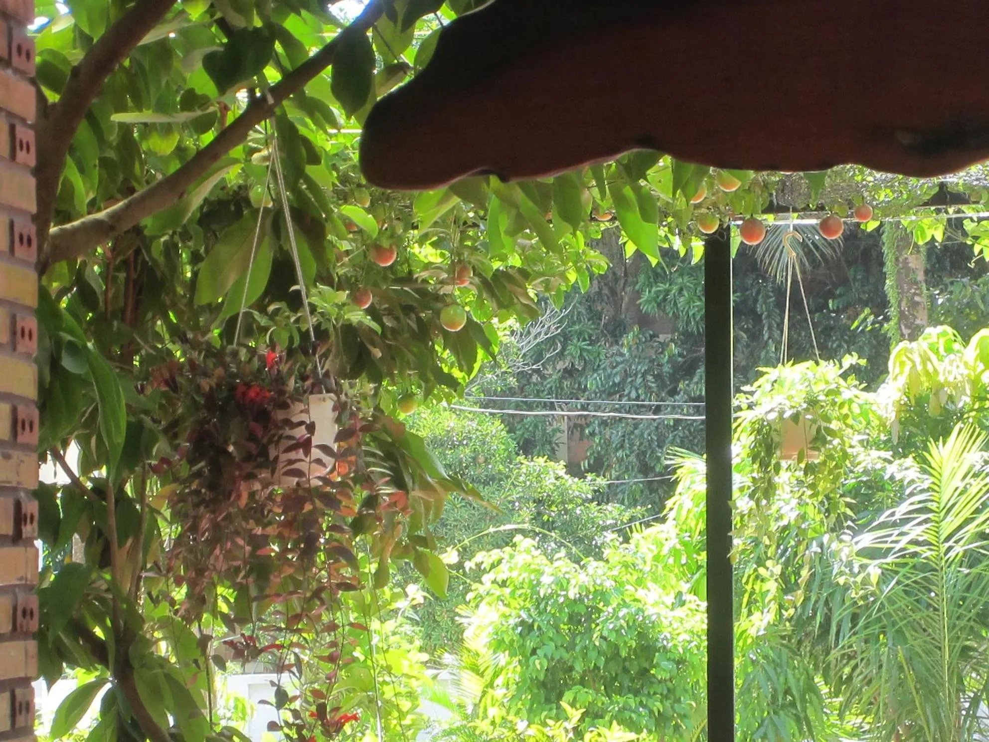 Gia Thanh Phu Quoc Guest House