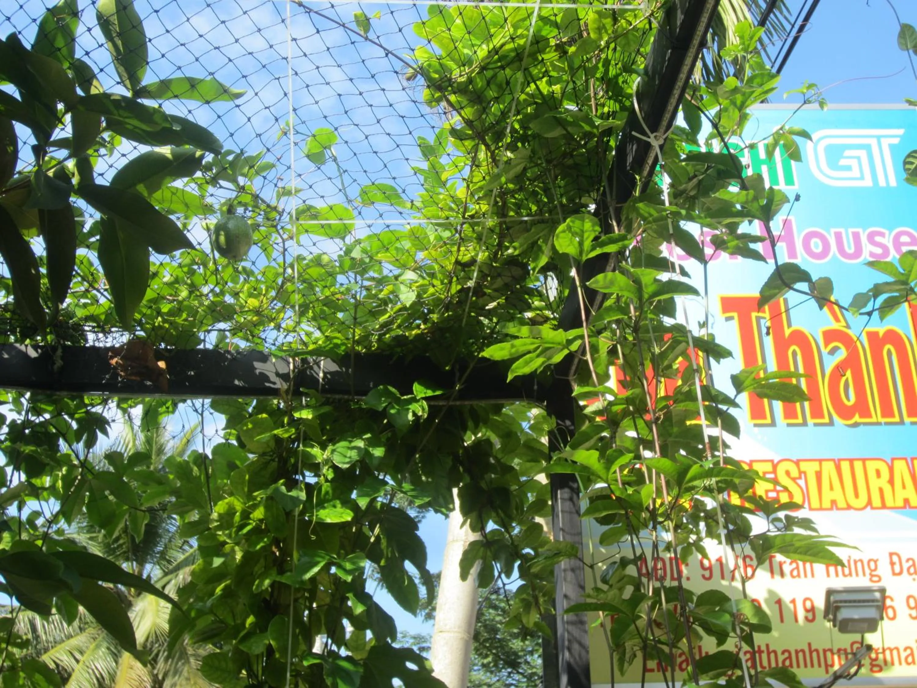 Gia Thanh Phu Quoc Guest House