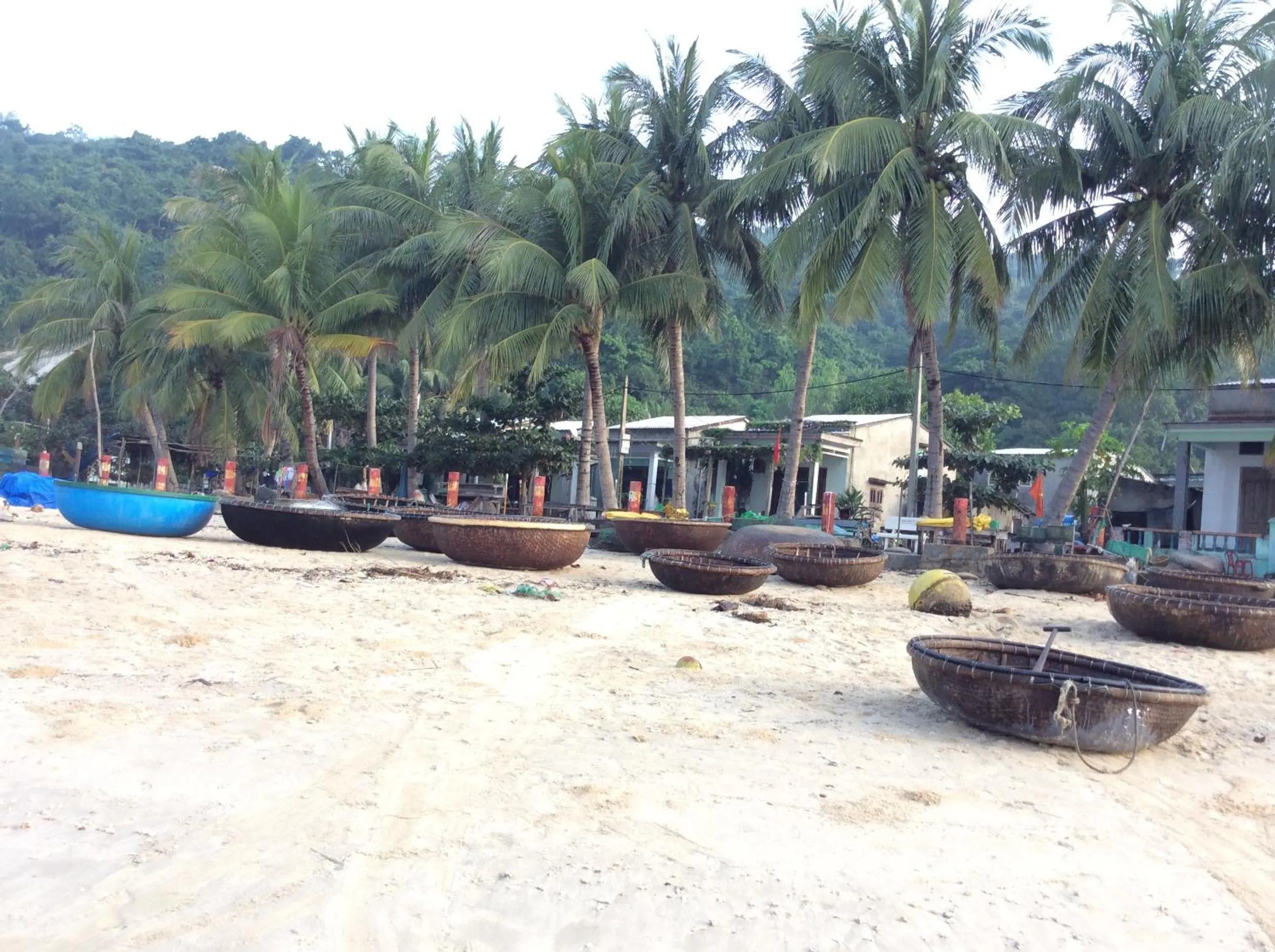 Nearby landmark in Cham Island Smiles Homestay