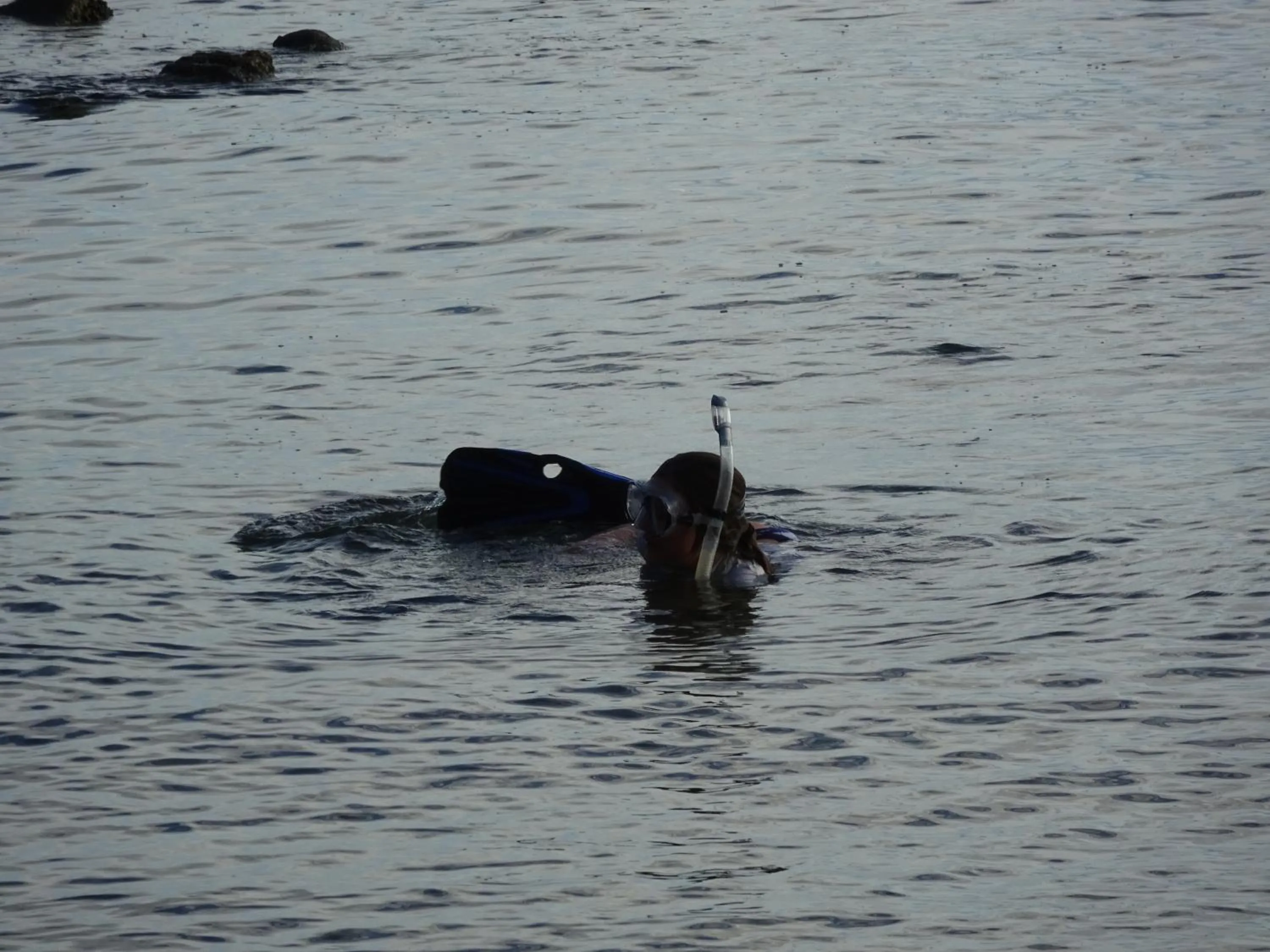 Fishing in Cham Island Smiles Homestay