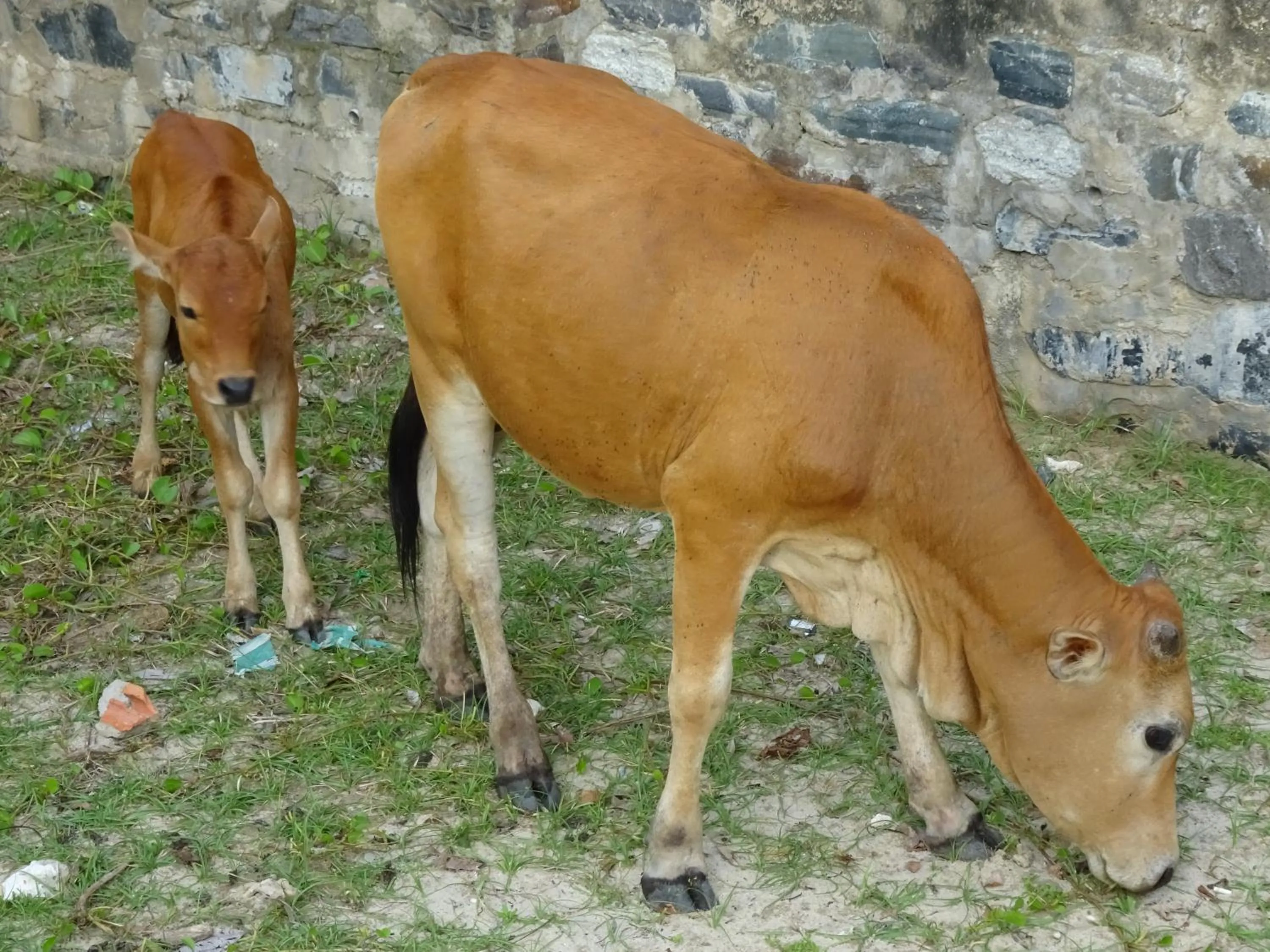 Location in Cham Island Smiles Homestay