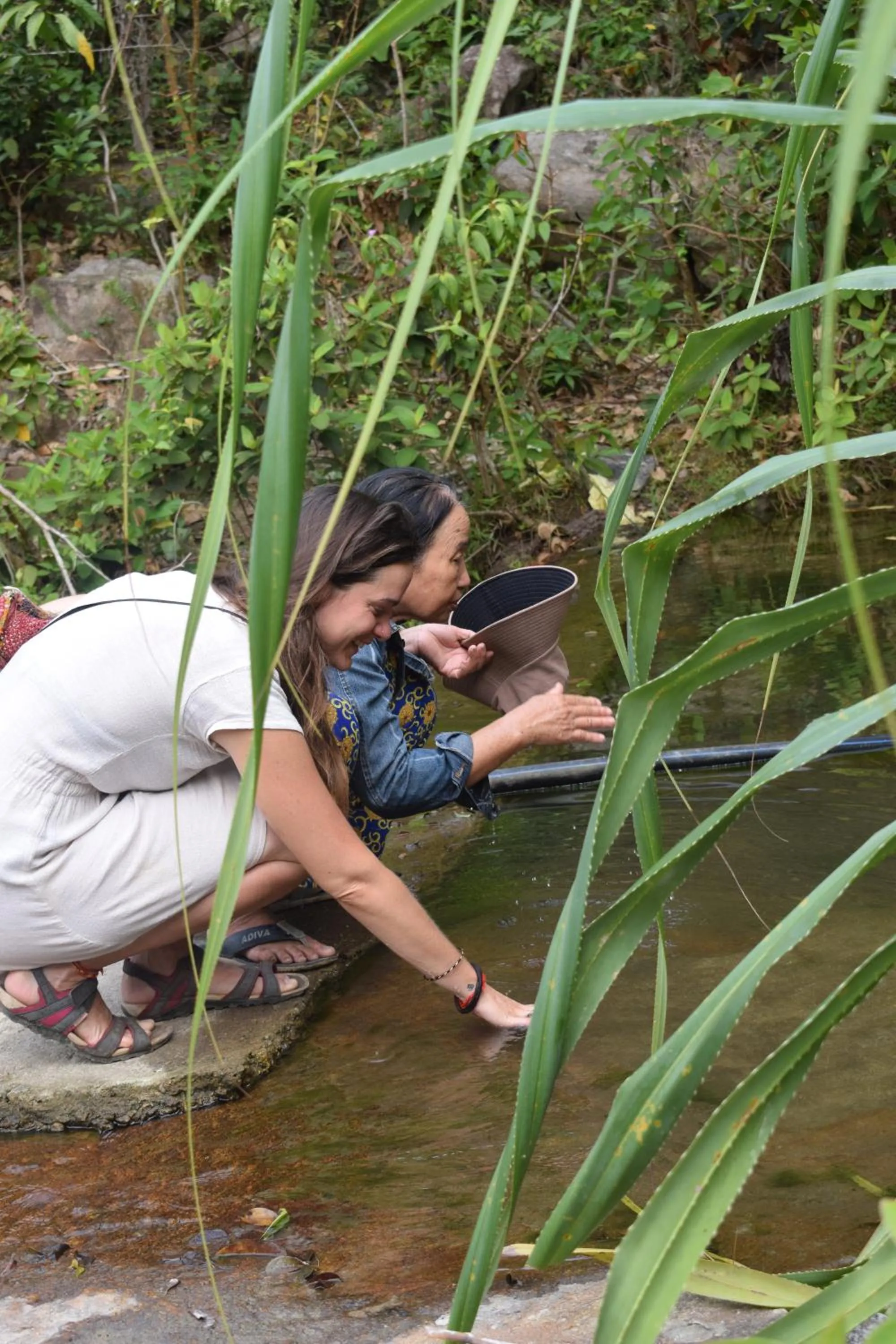 Hiking in Cham Island Smiles Homestay