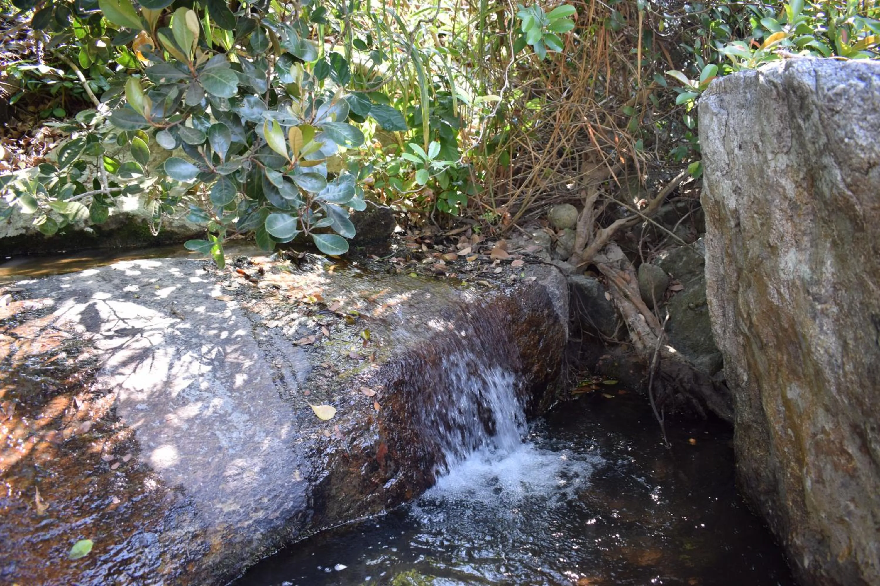 Natural landscape in Cham Island Smiles Homestay