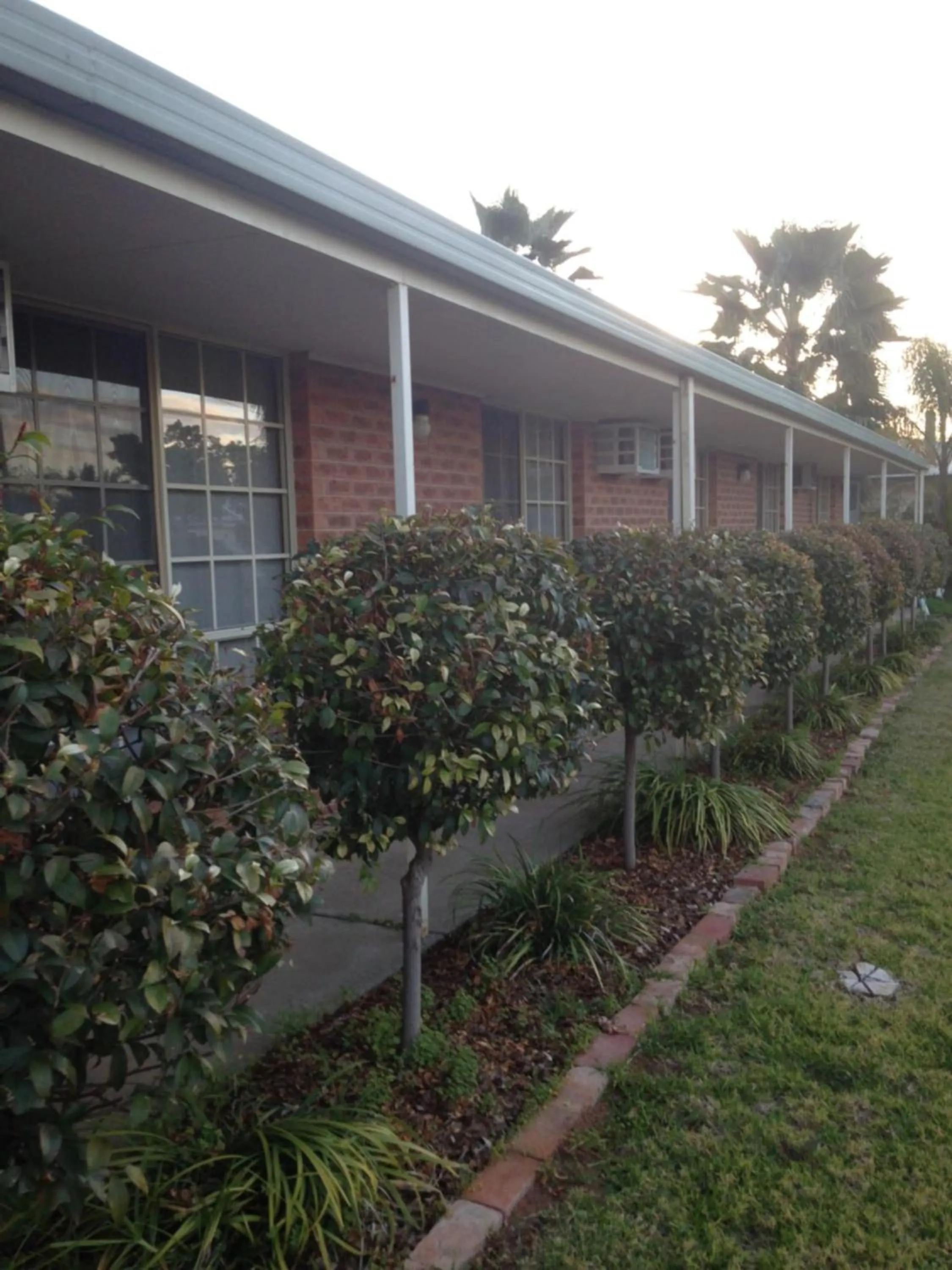 Garden view in Balranald Colony Inn Motel