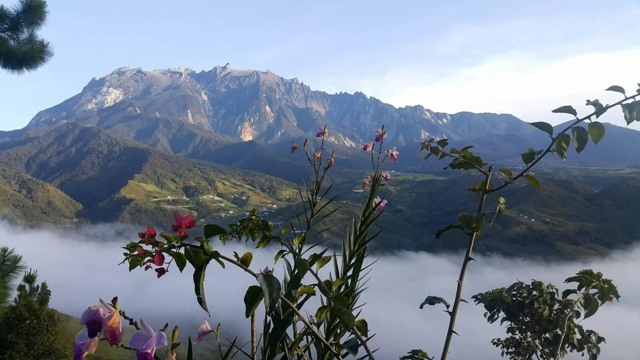 Bird's eye view in Crystal Hill R