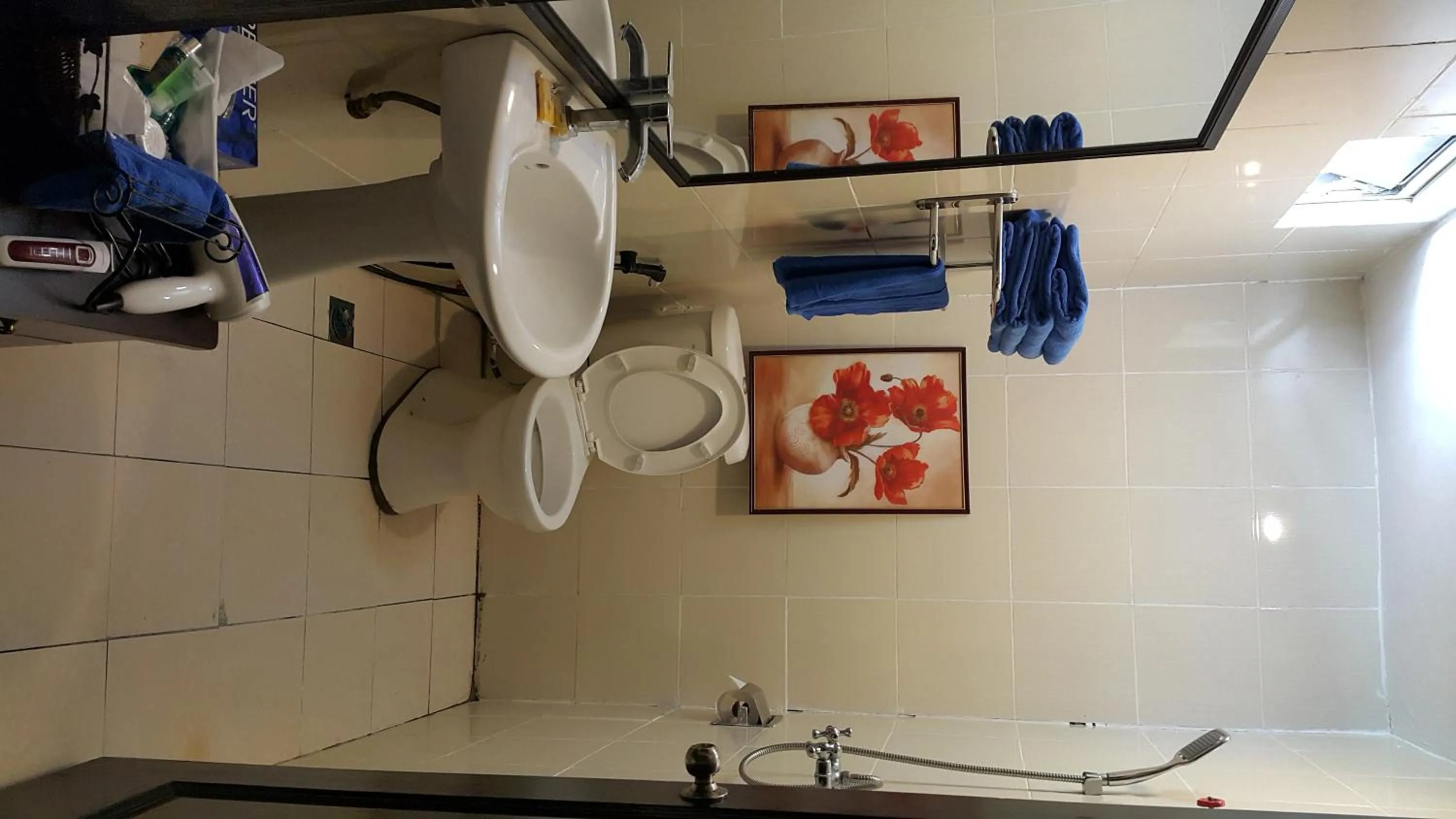 Toilet in Crystal Hill R