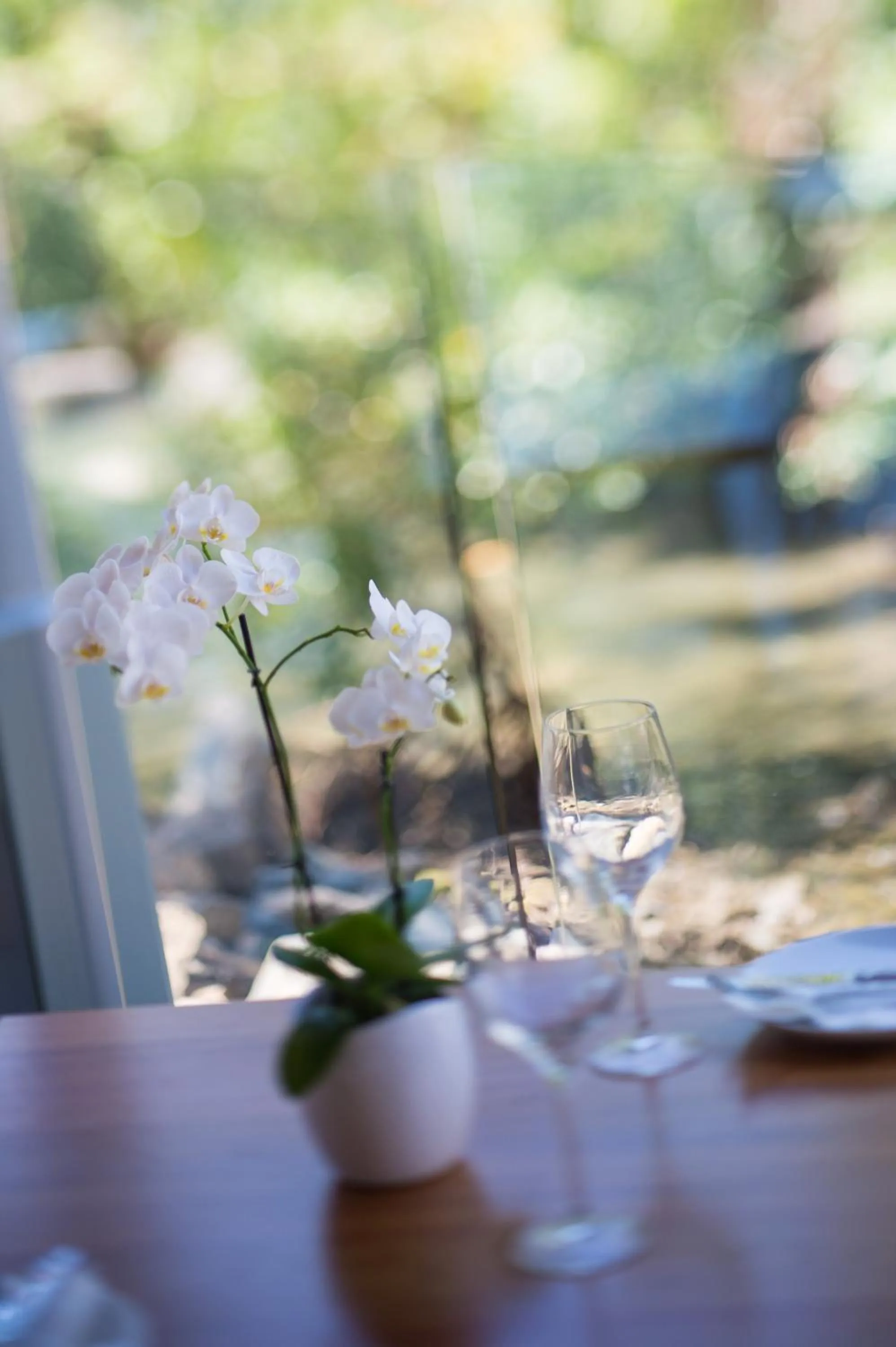 Restaurant/places to eat in Heart Hotel and Gallery Whitsundays