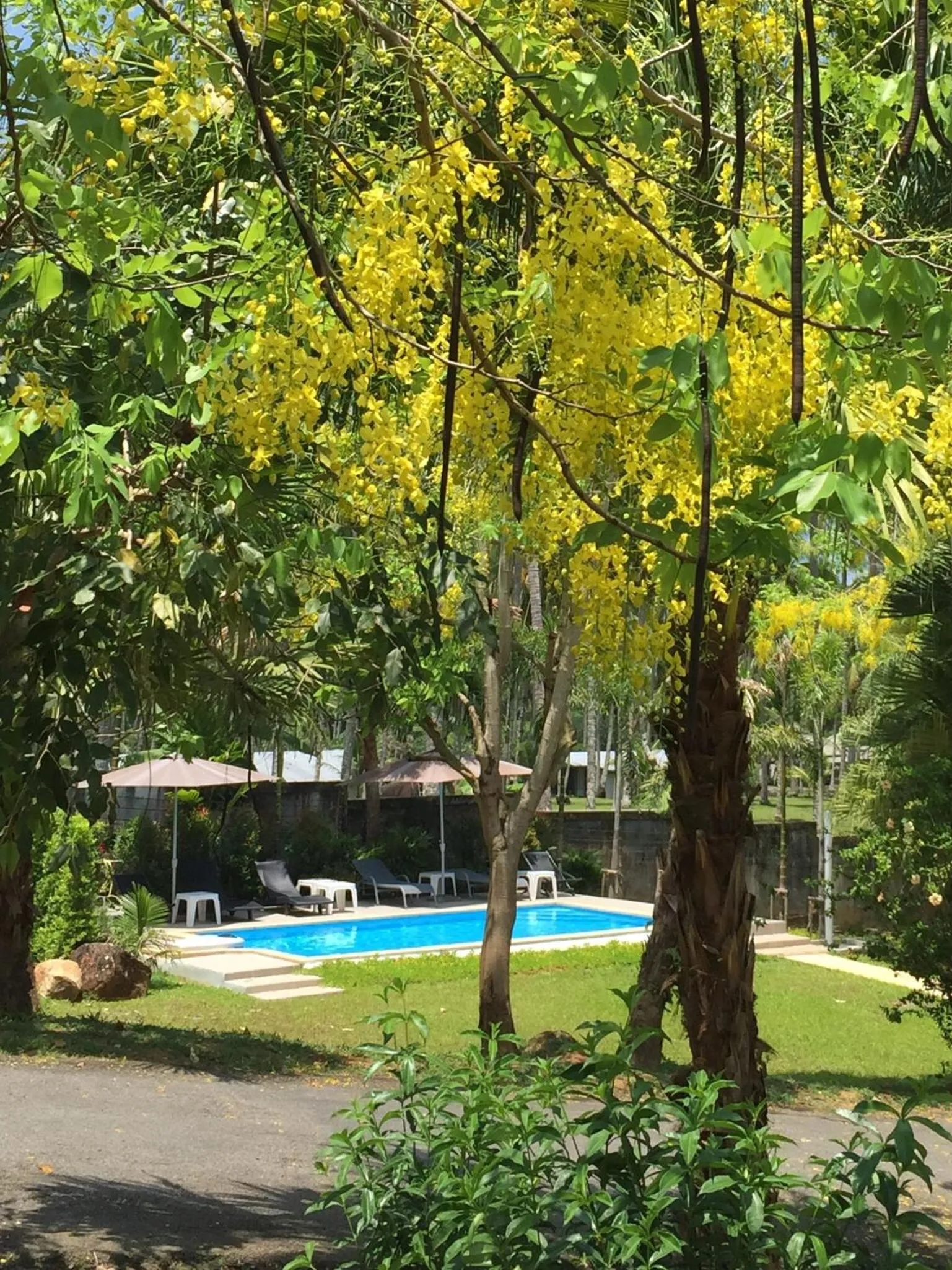 Pool view in Khaolak Hillside Villa