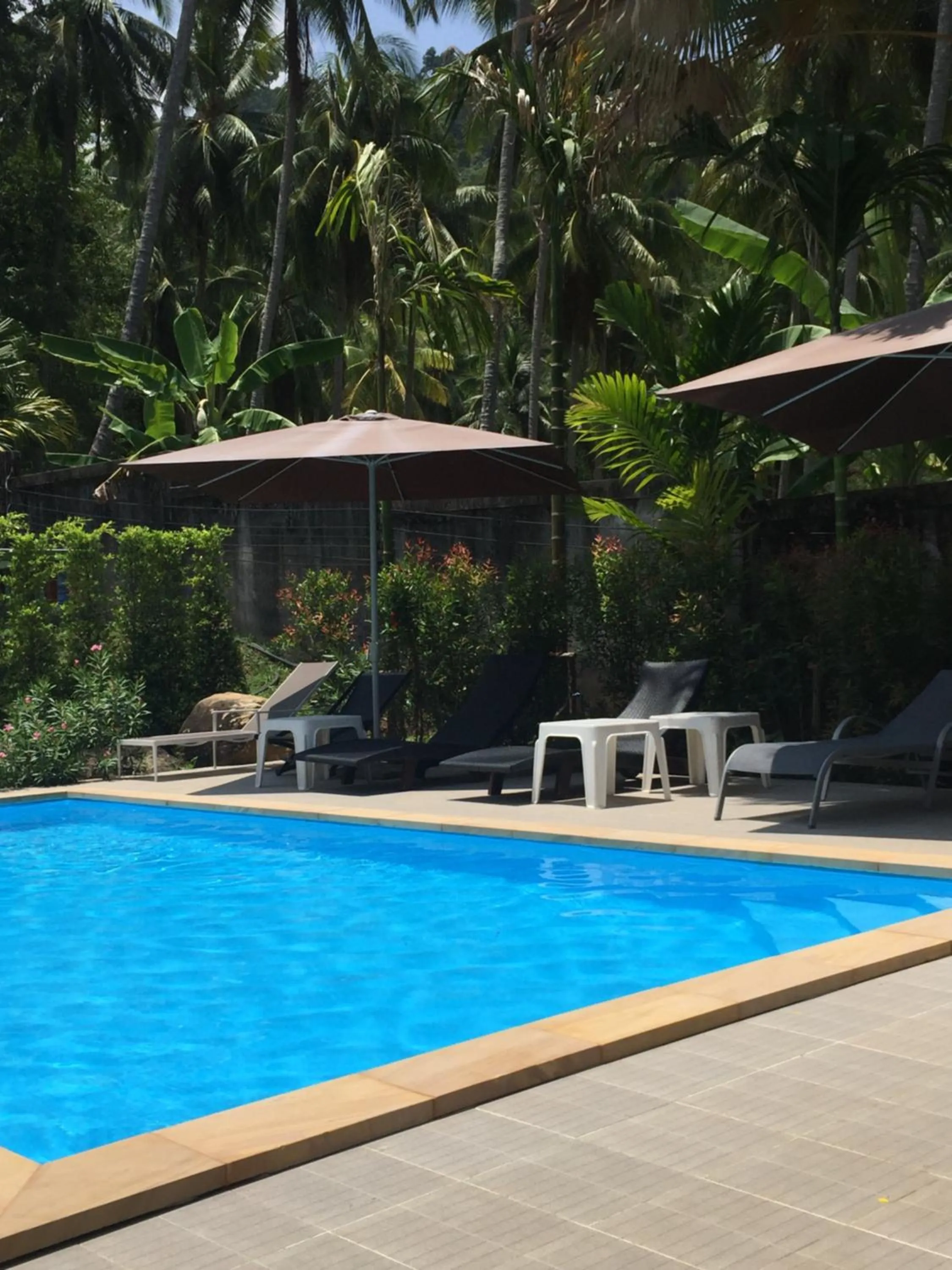 Swimming pool in Khaolak Hillside Villa