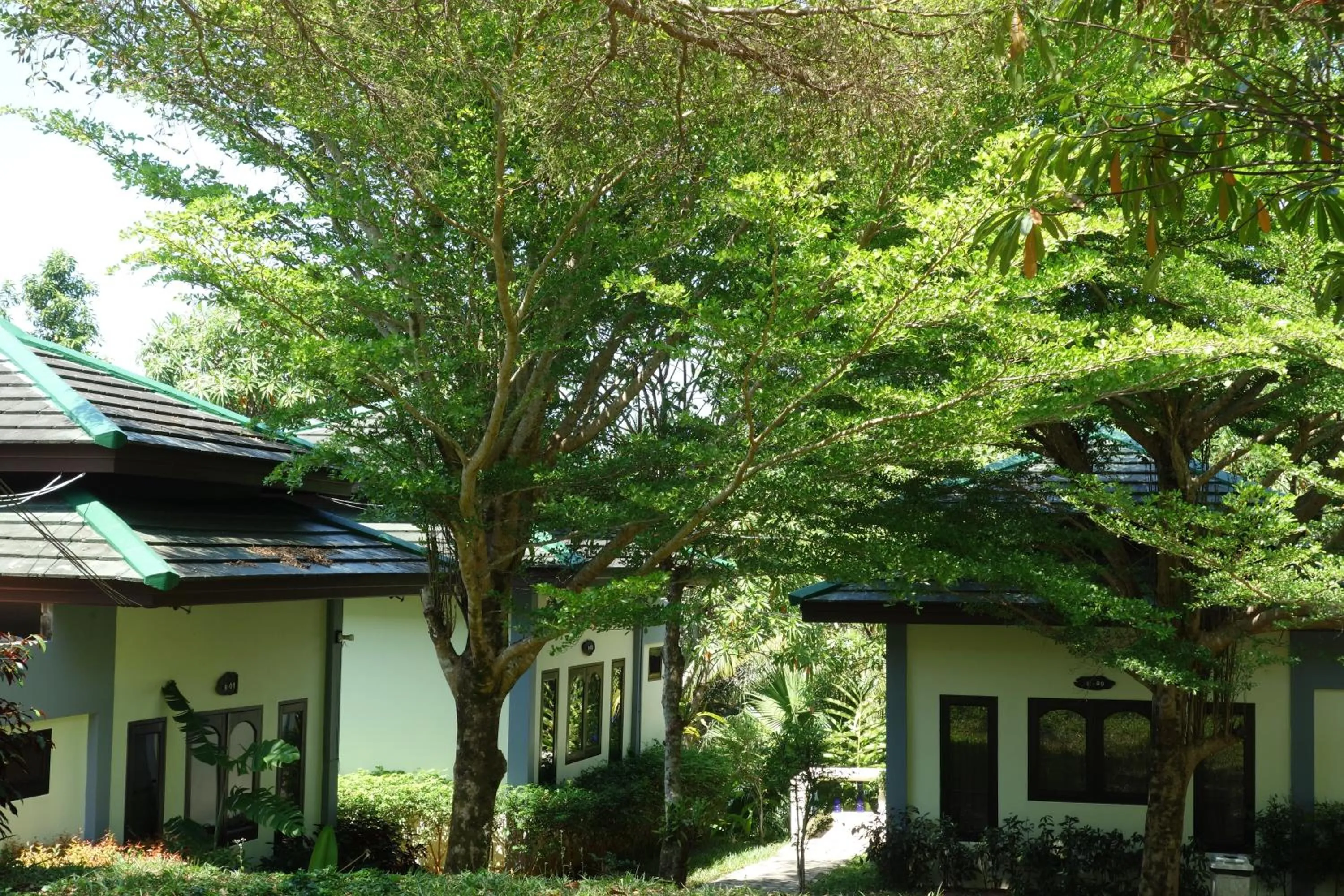 Property building in Khaolak Hillside Villa