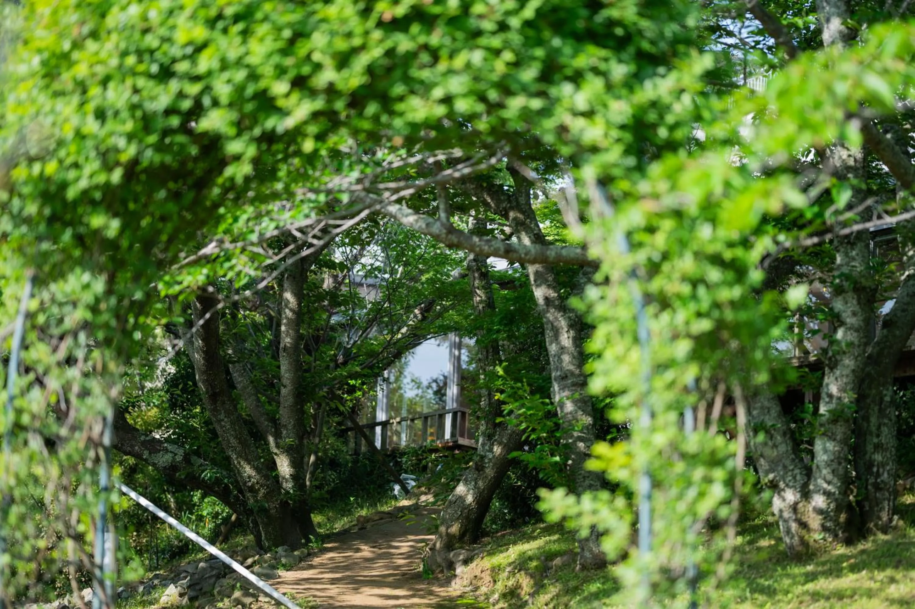 Day in Resort Hotel Moana Coast