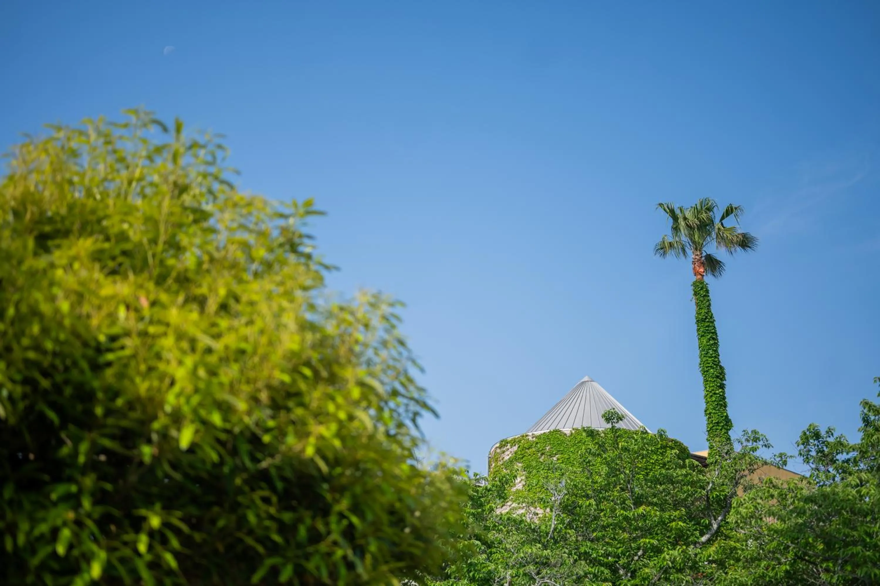 Day in Resort Hotel Moana Coast