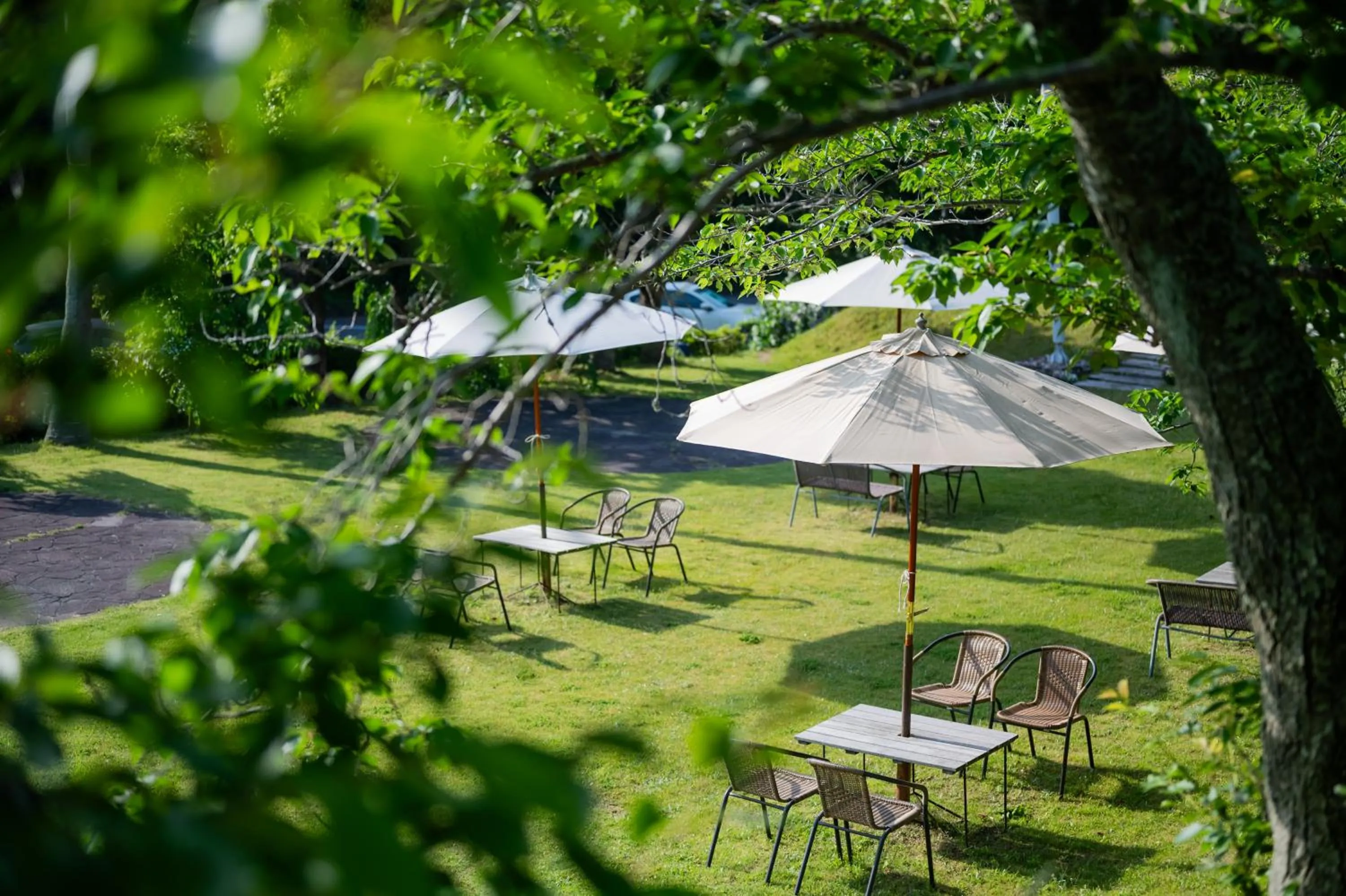 Day in Resort Hotel Moana Coast